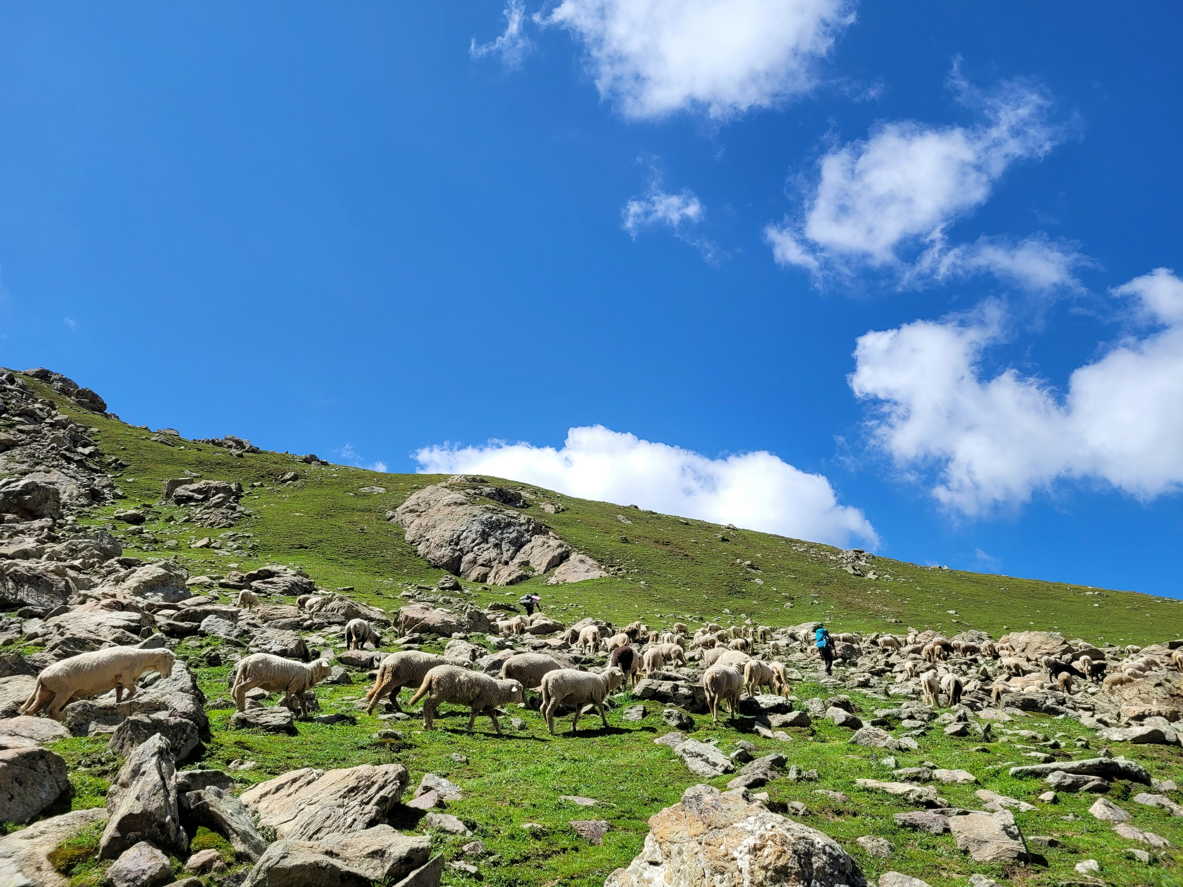 Photo by iamankurkhandelwal