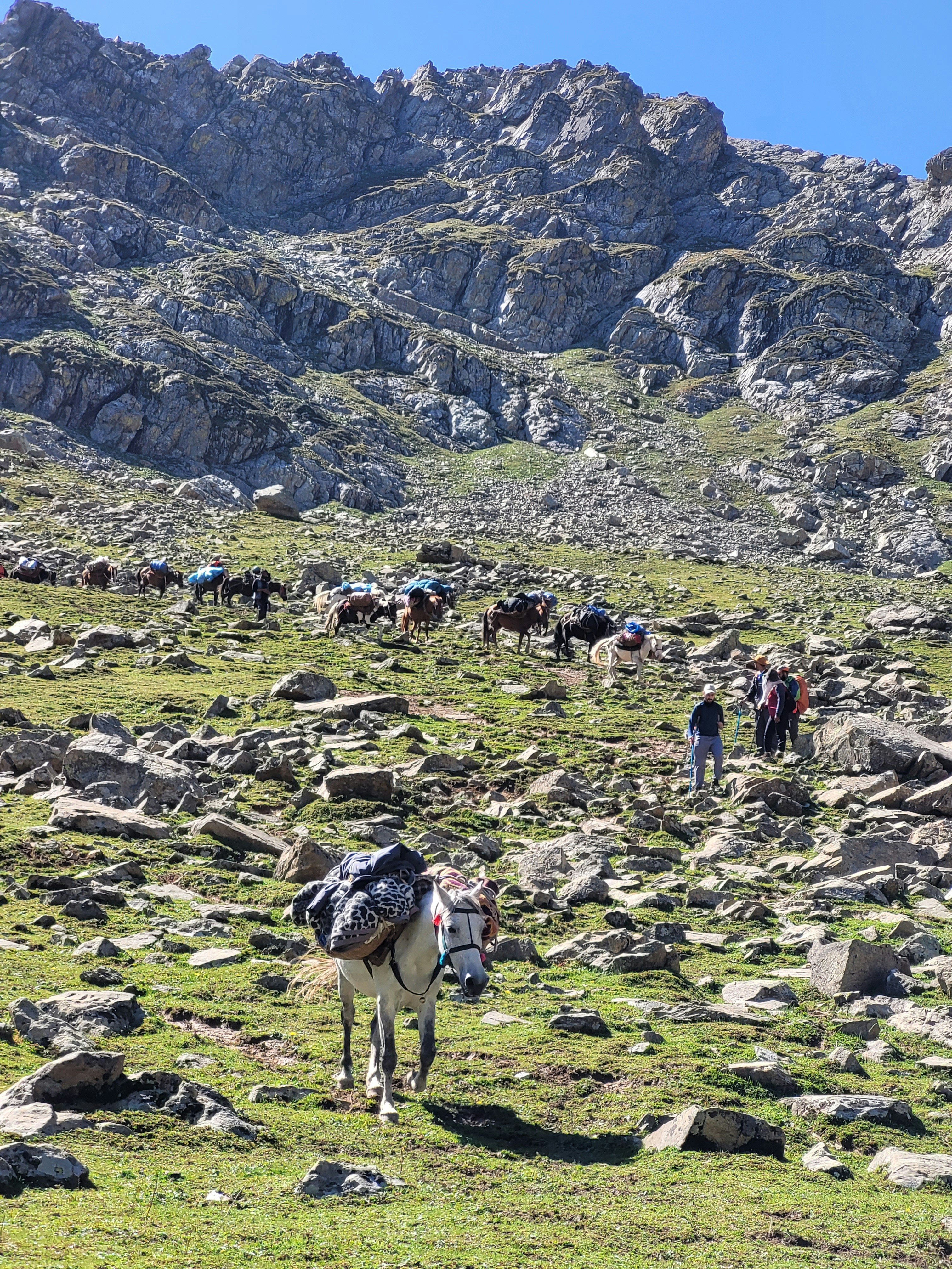 Photo by iamankurkhandelwal