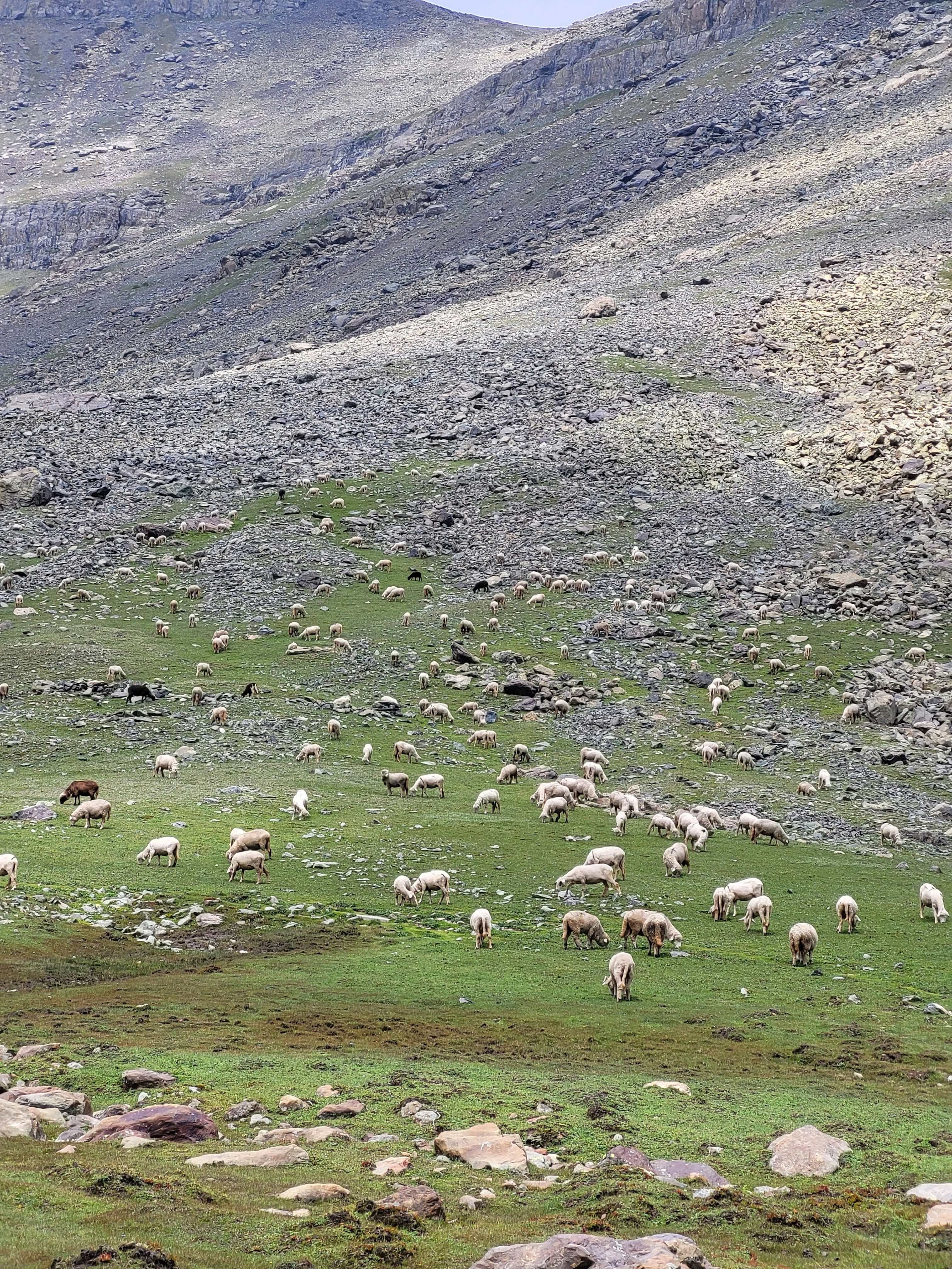 Photo by iamankurkhandelwal