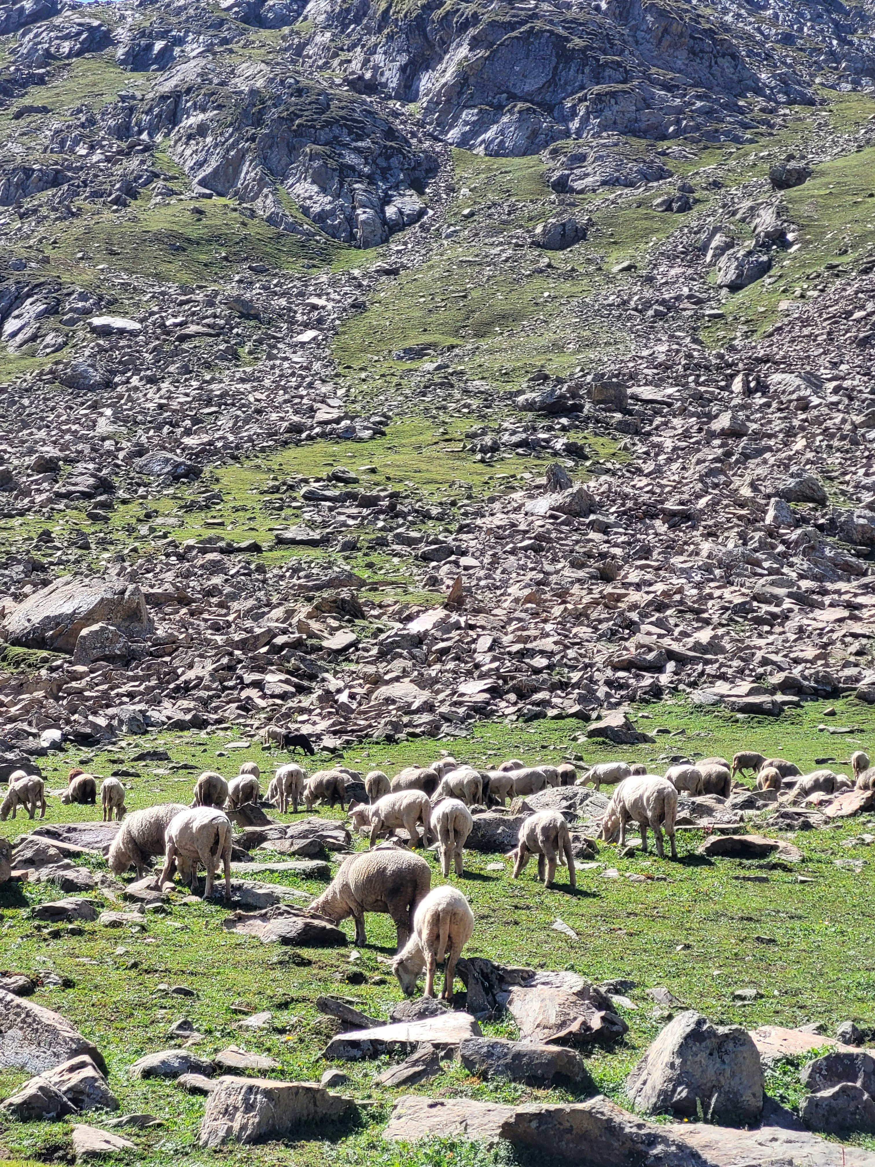 Photo by iamankurkhandelwal