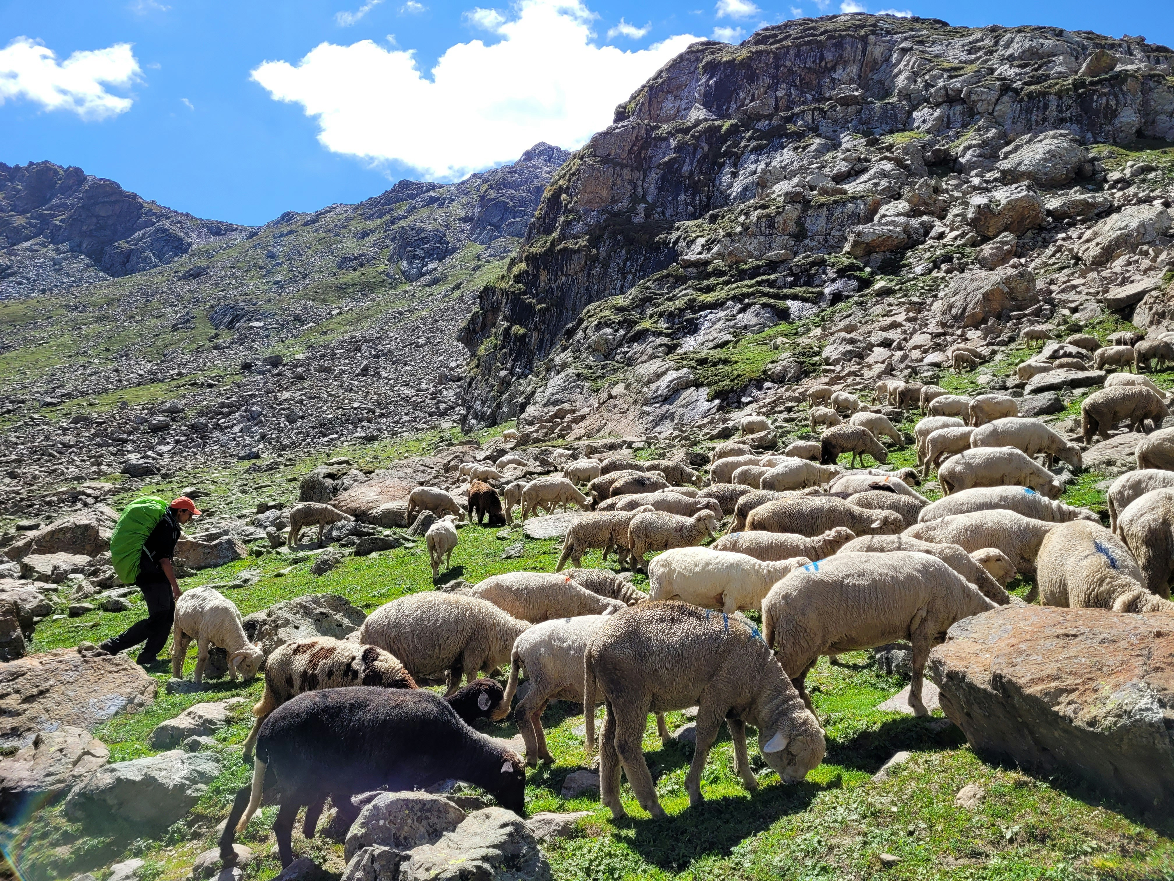 Photo by iamankurkhandelwal