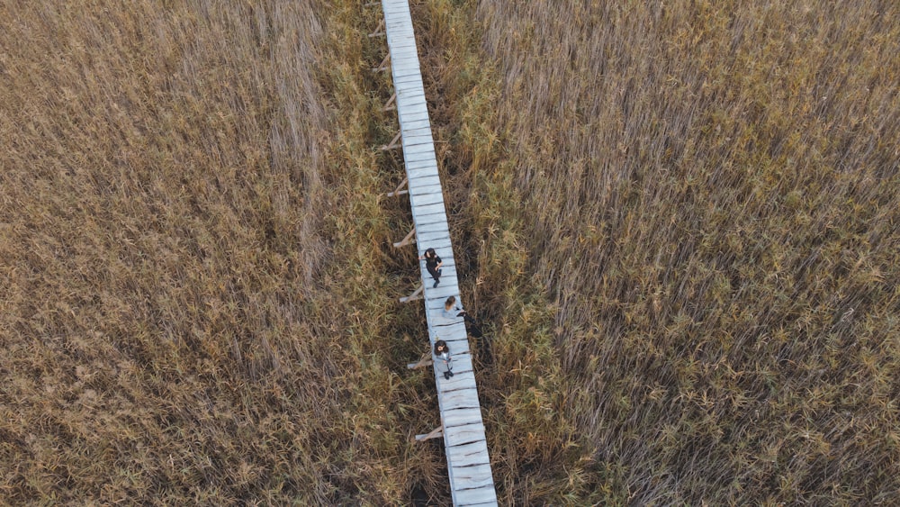 a long straight road in a field