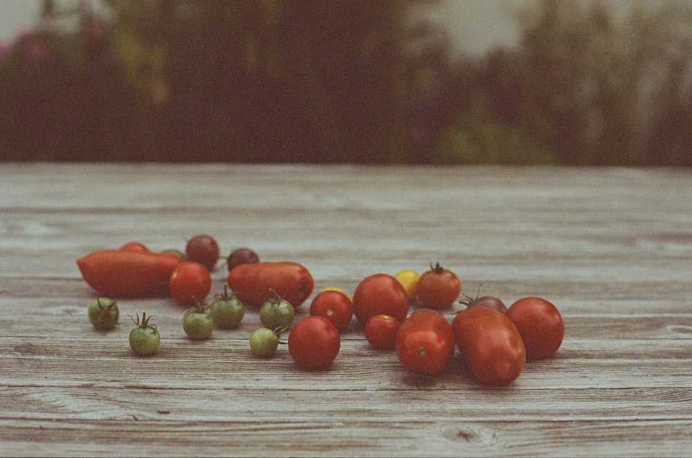 a group of tomatoes