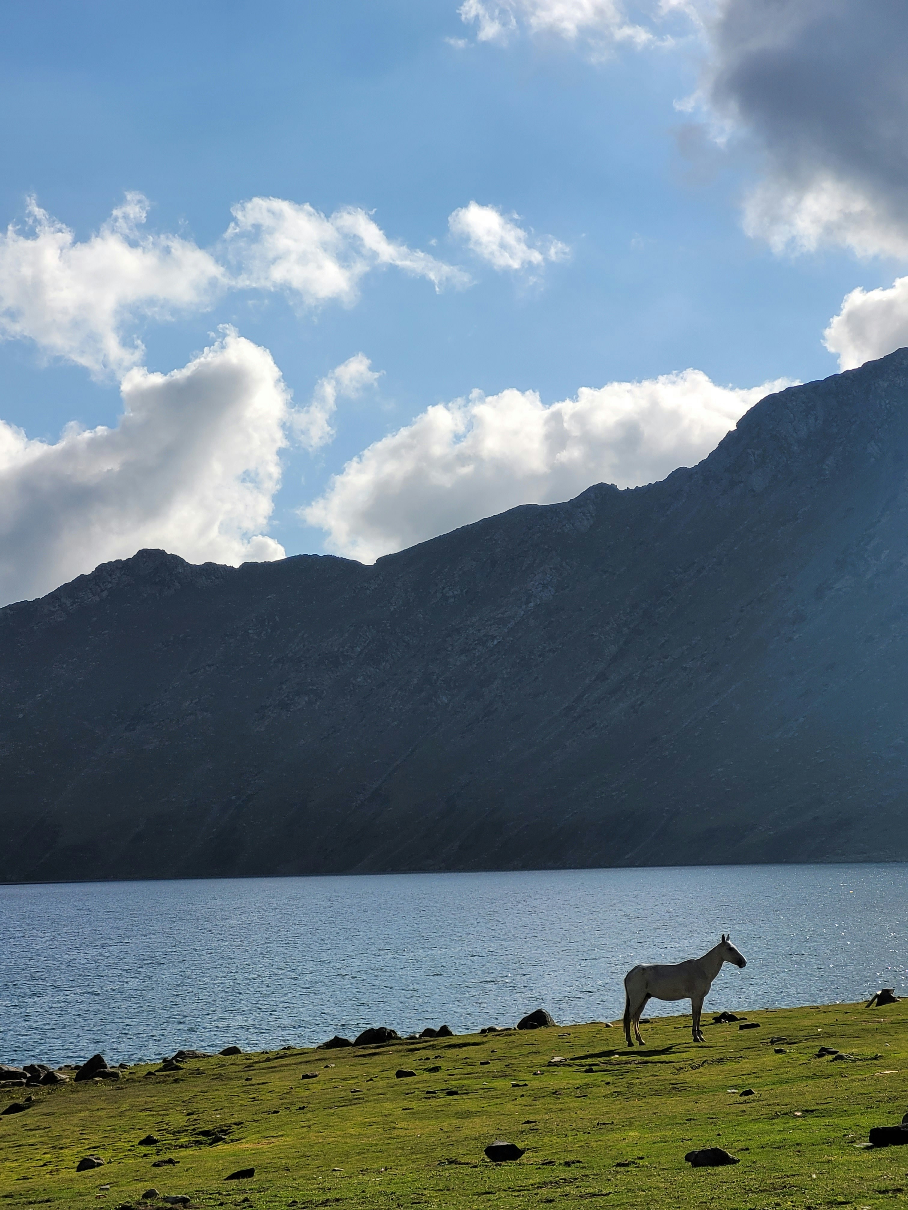 Photo by iamankurkhandelwal