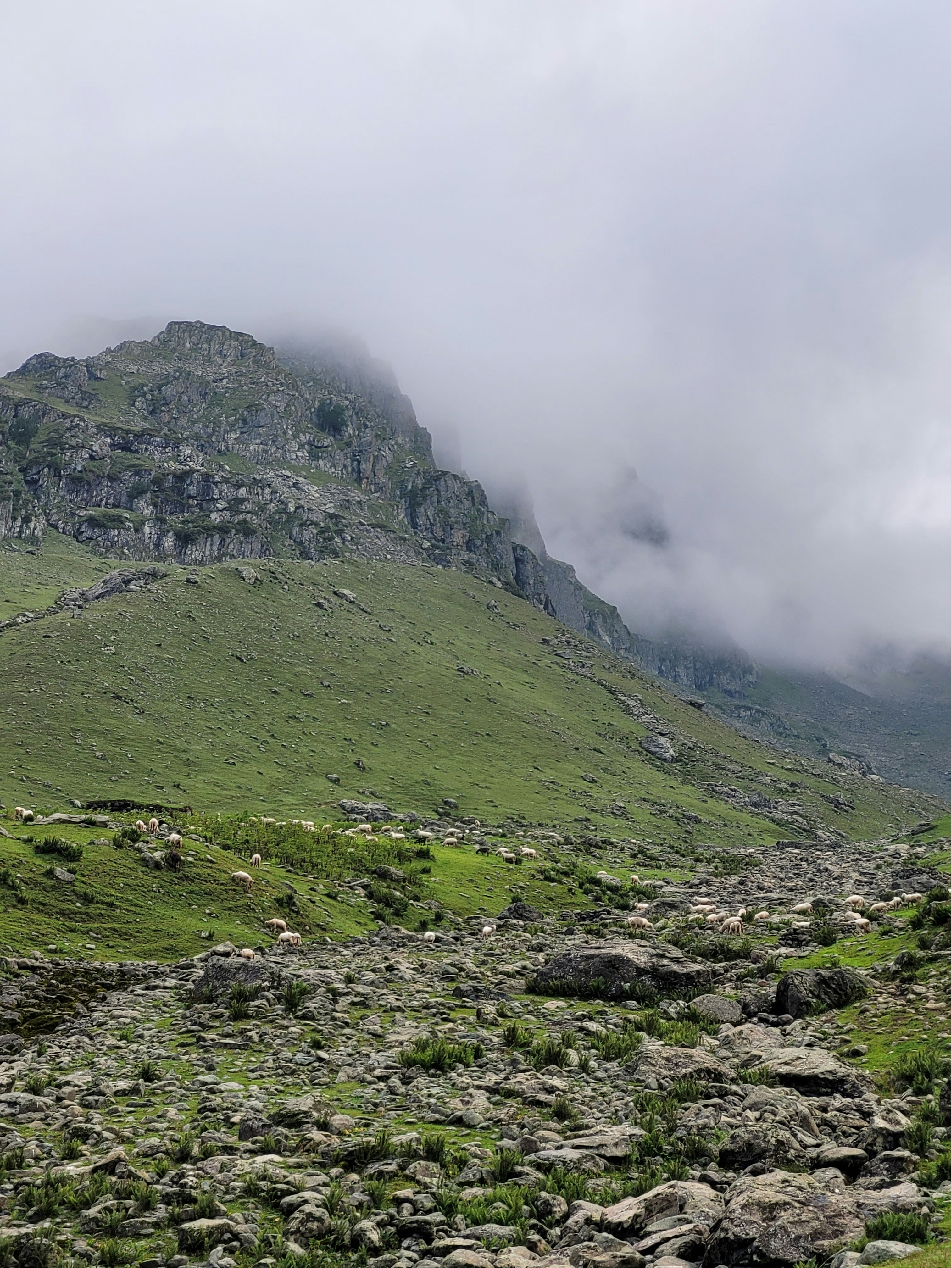 Photo by iamankurkhandelwal