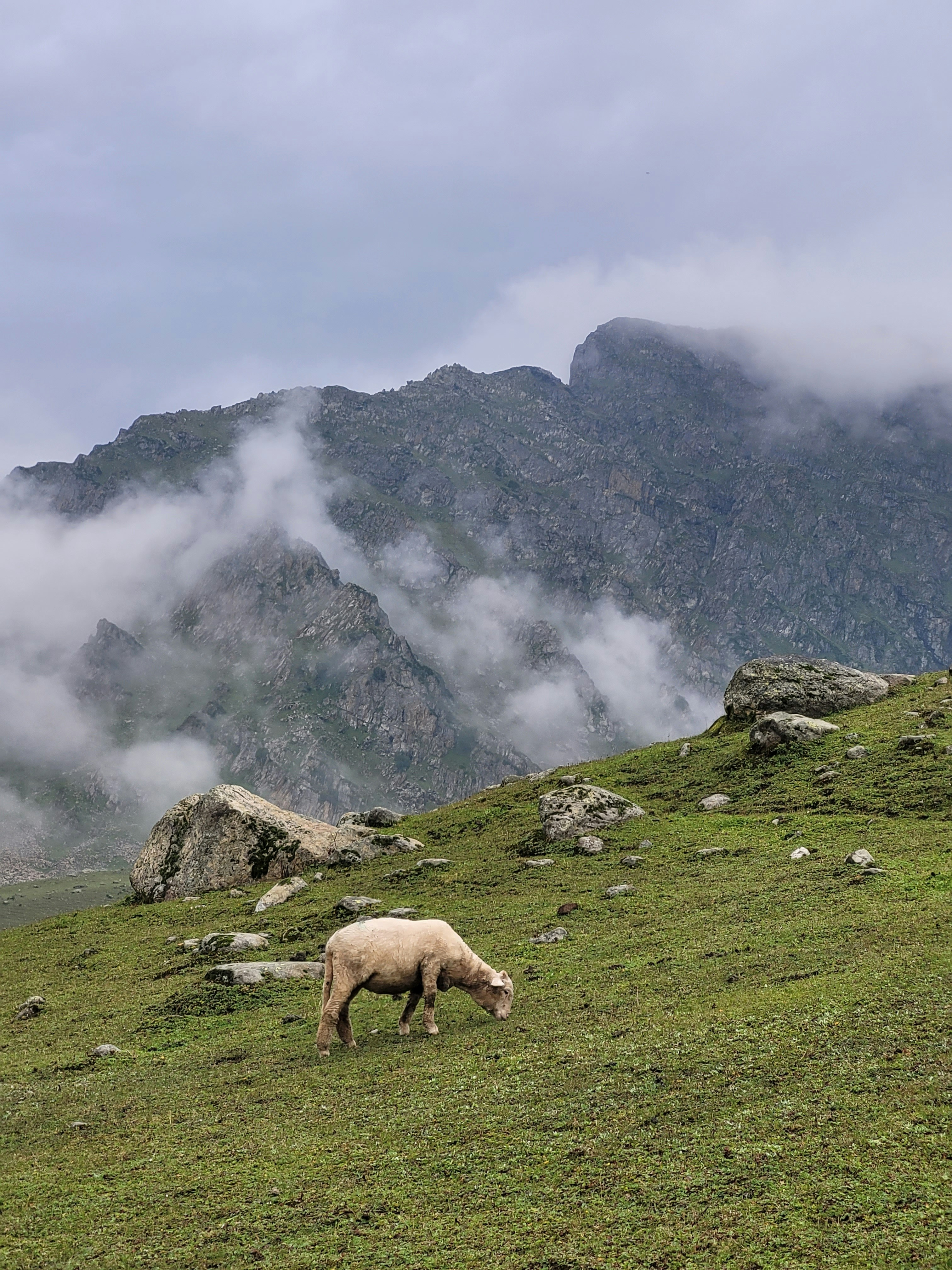 Photo by iamankurkhandelwal