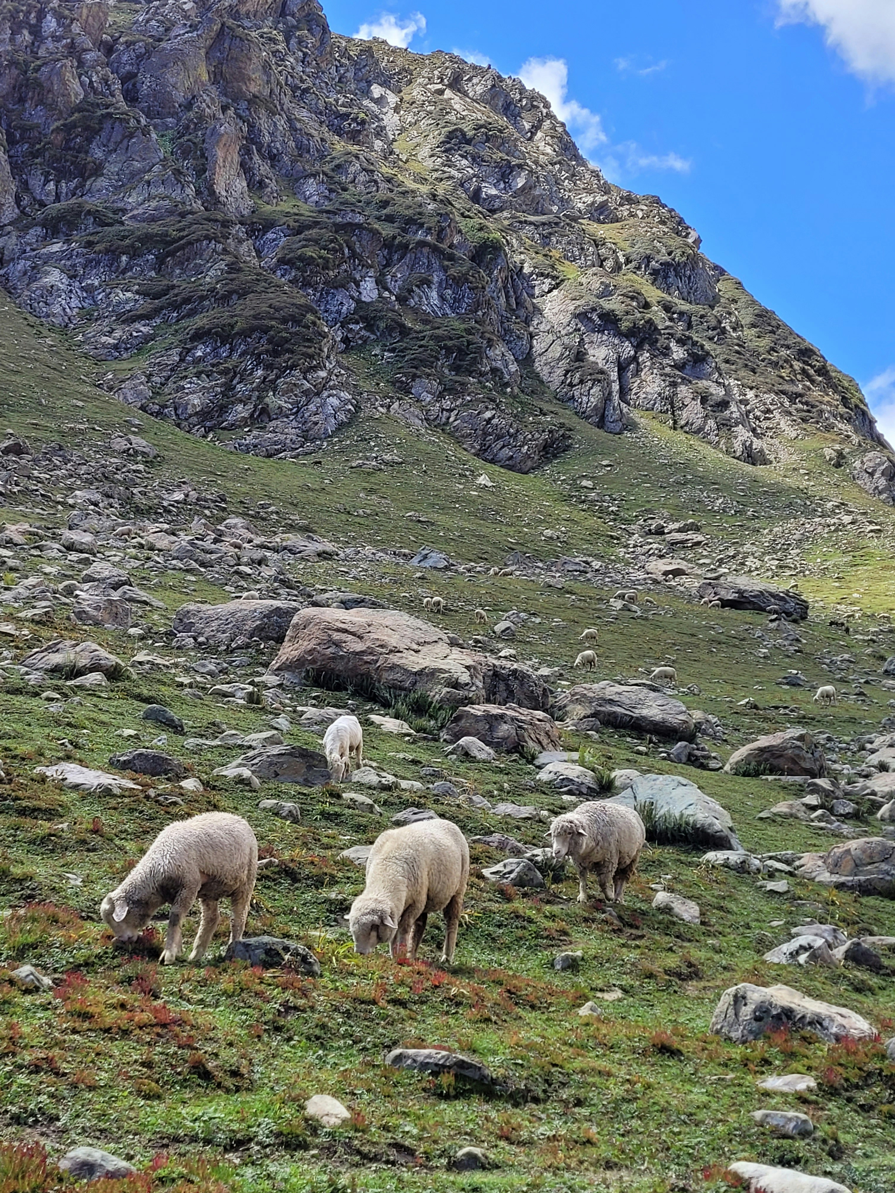 Photo by iamankurkhandelwal