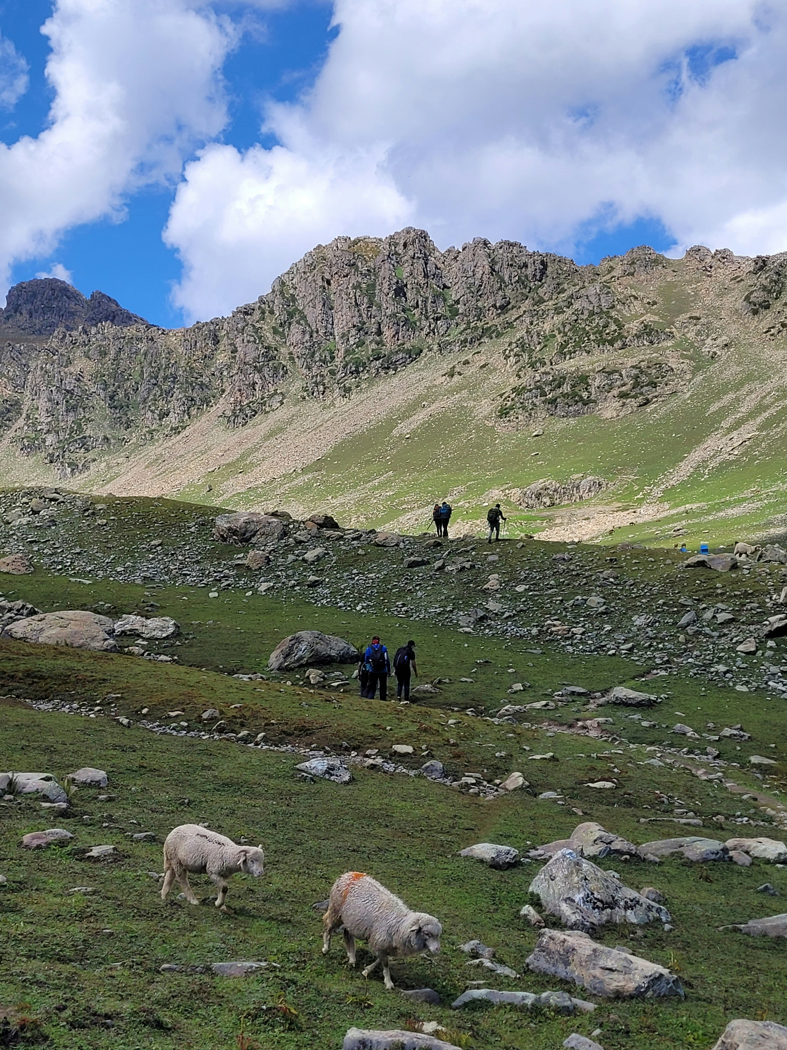 Photo by iamankurkhandelwal