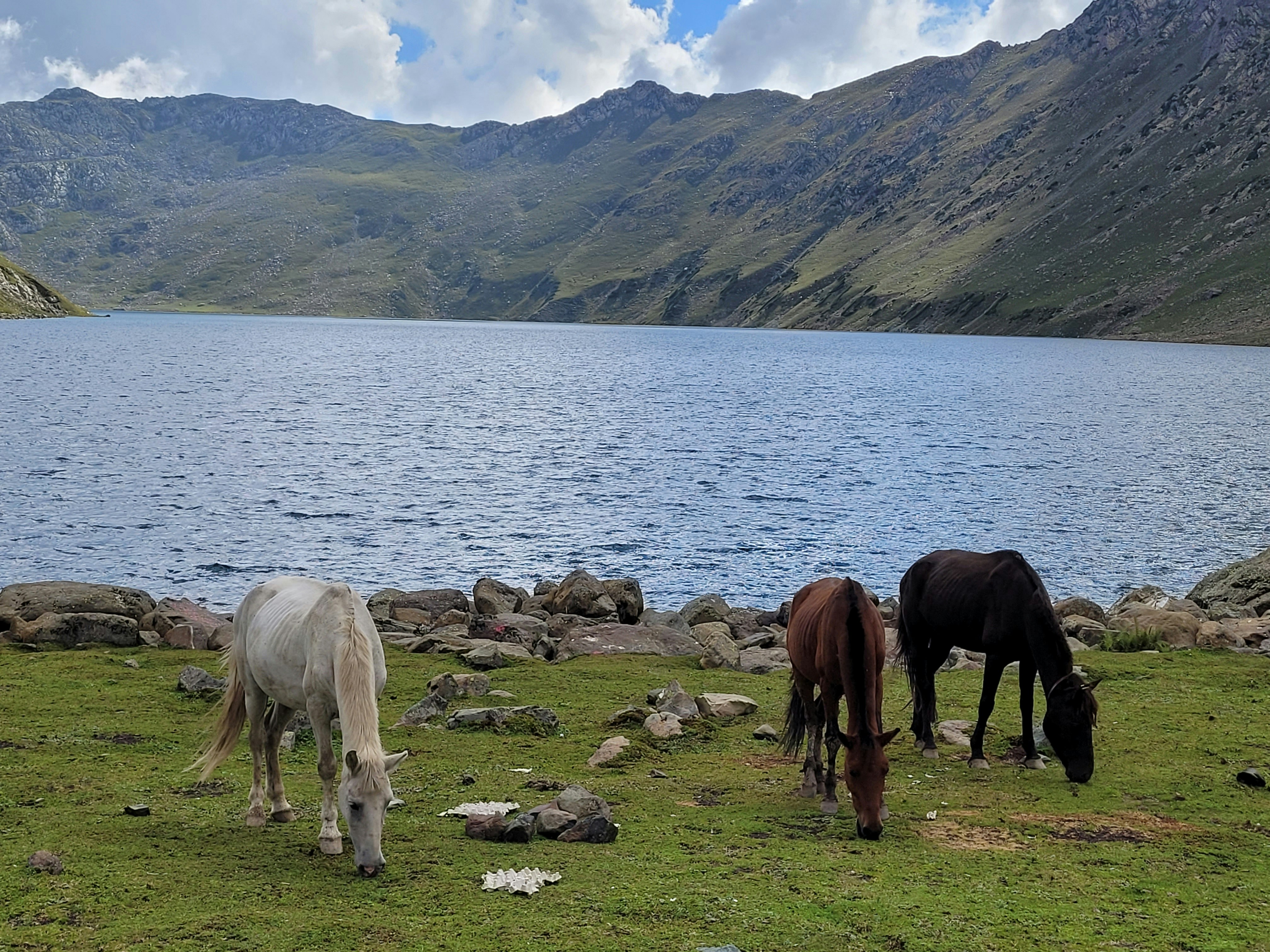 Photo by iamankurkhandelwal