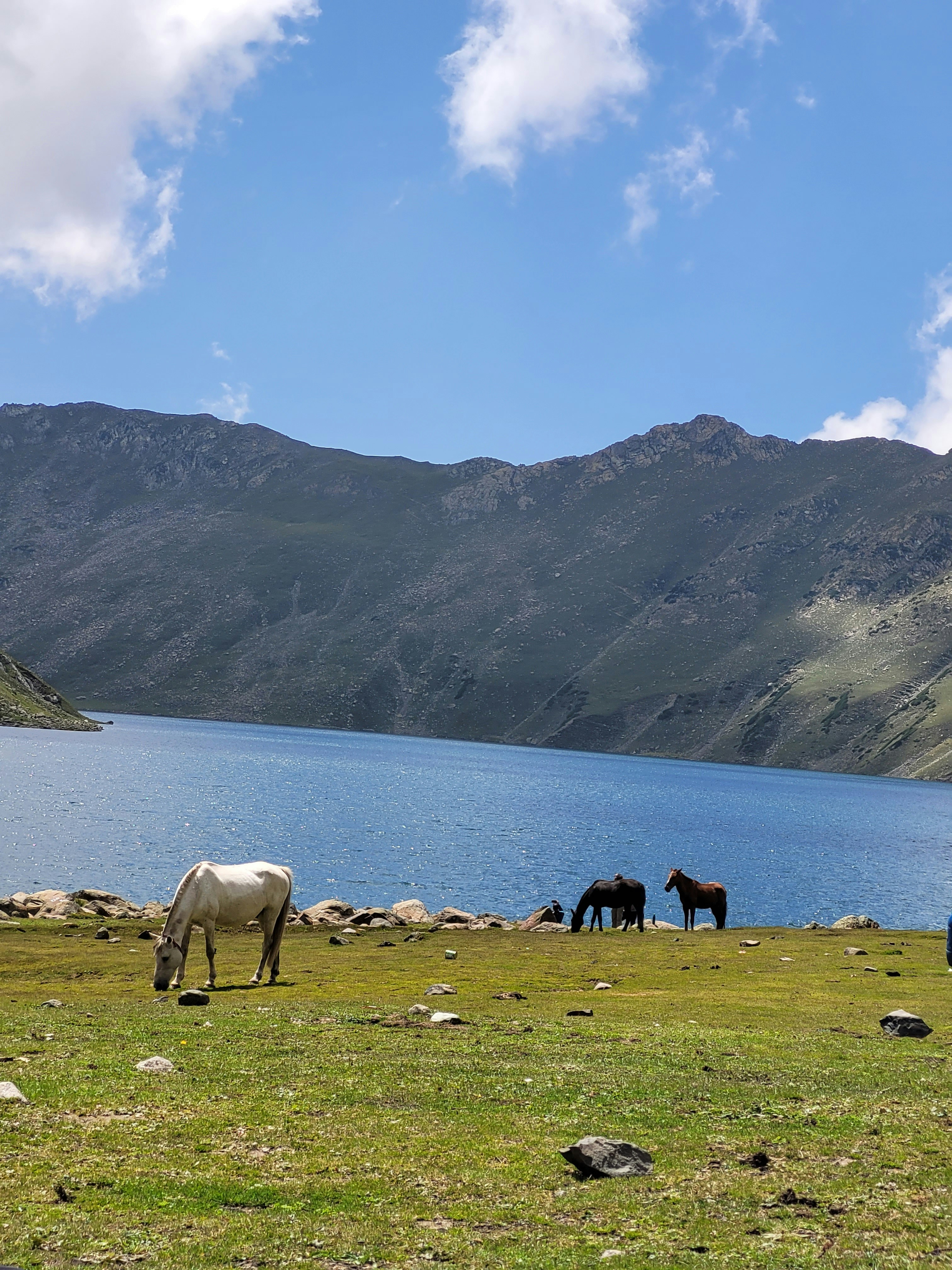 Photo by iamankurkhandelwal