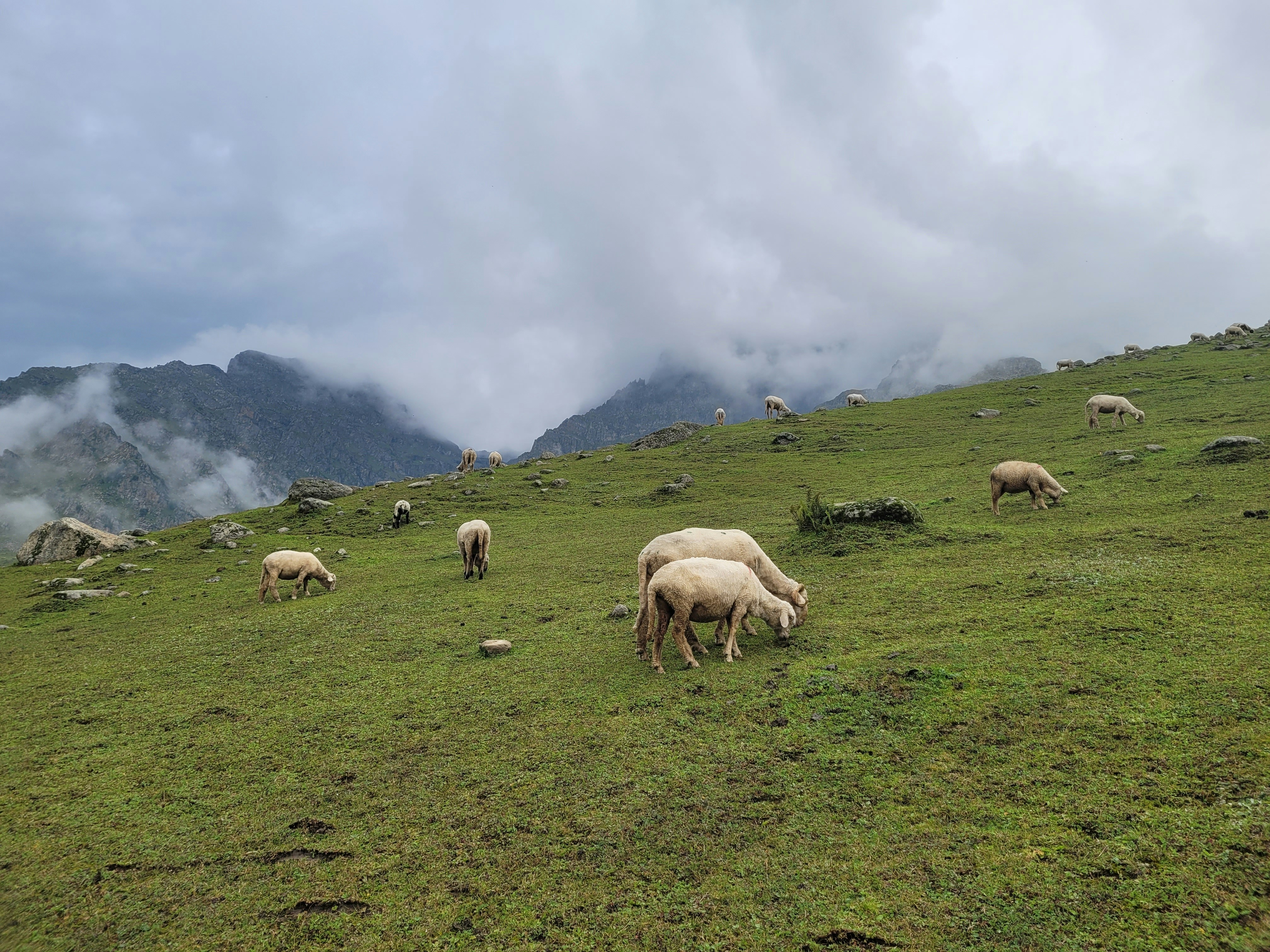 Photo by iamankurkhandelwal