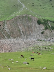 Rolling green hills with grazing horses on a grassy meadow. A steep rocky slope and scattered boulders are present in the background, adding texture to the landscape. Lush vegetation and patches of rocks complete the serene natural scene.