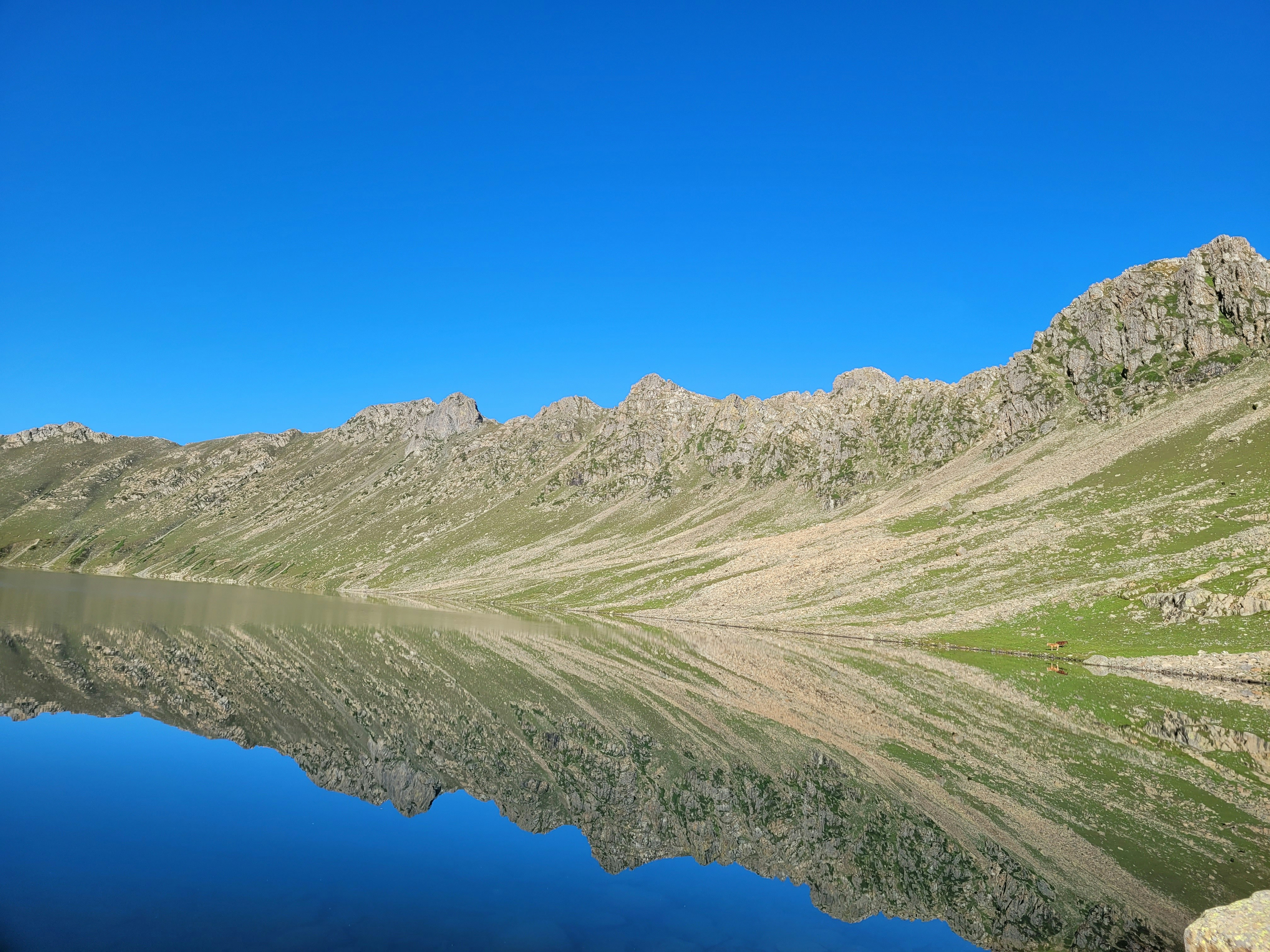 Photo by iamankurkhandelwal