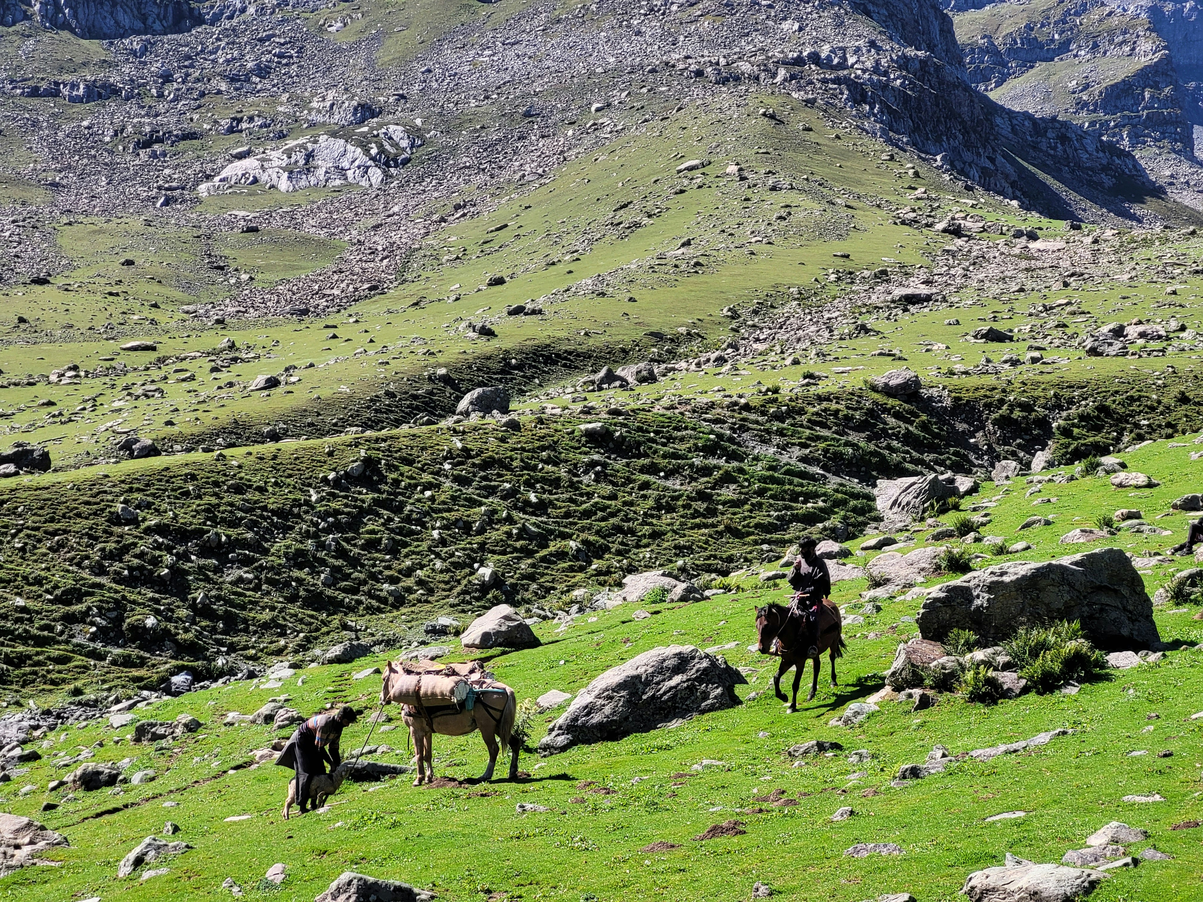 Photo by iamankurkhandelwal