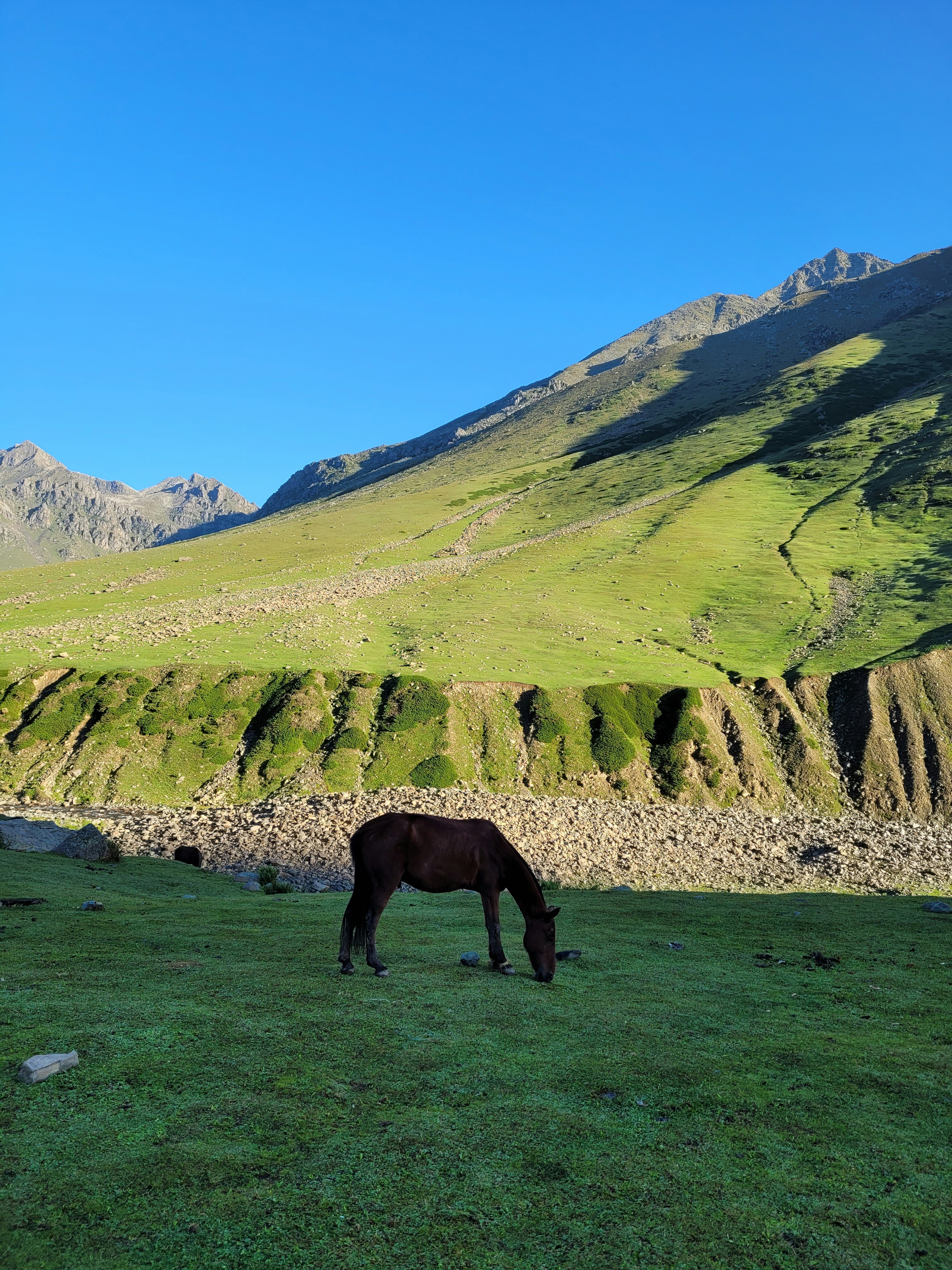 Photo by iamankurkhandelwal