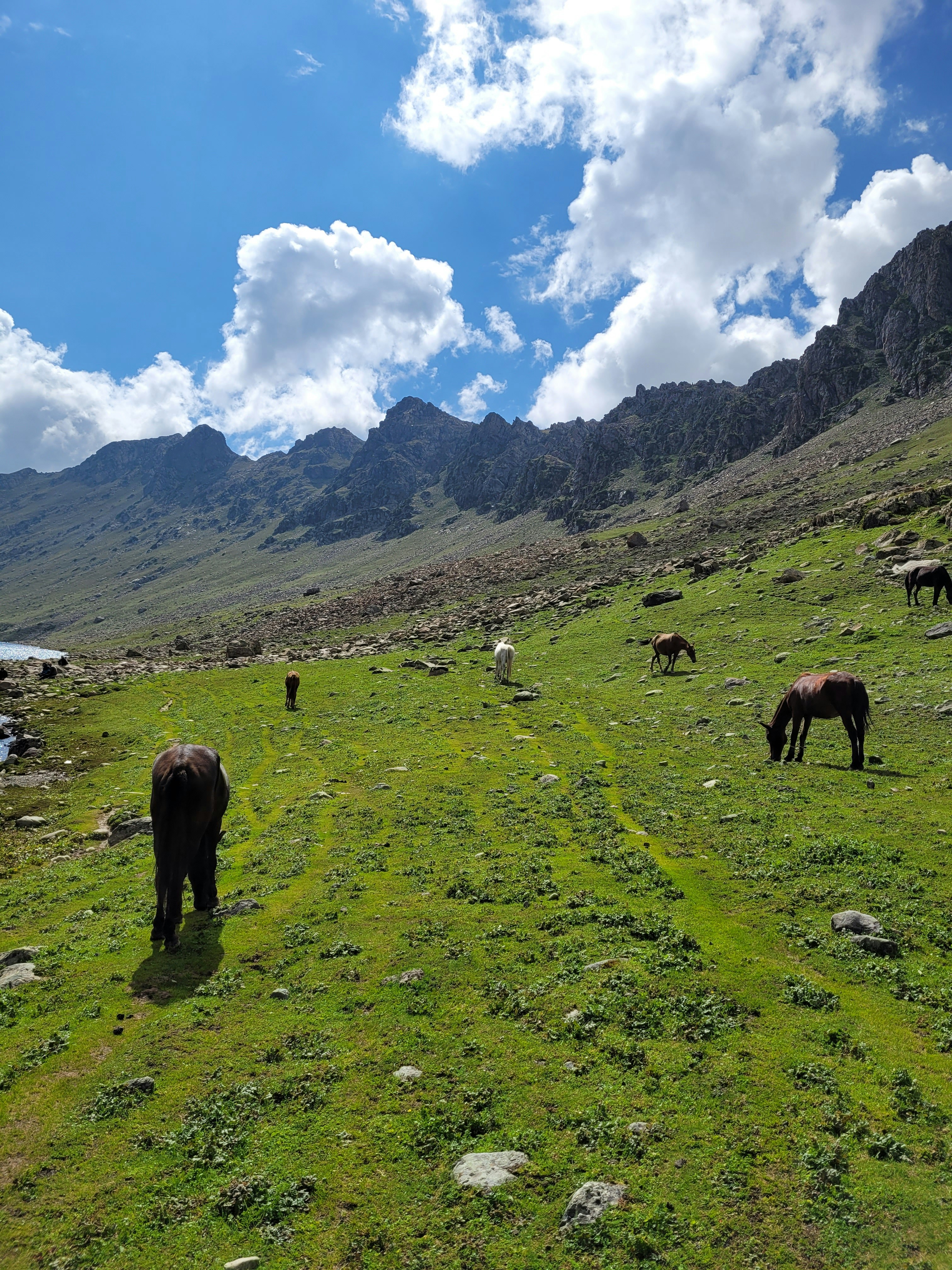Photo by iamankurkhandelwal