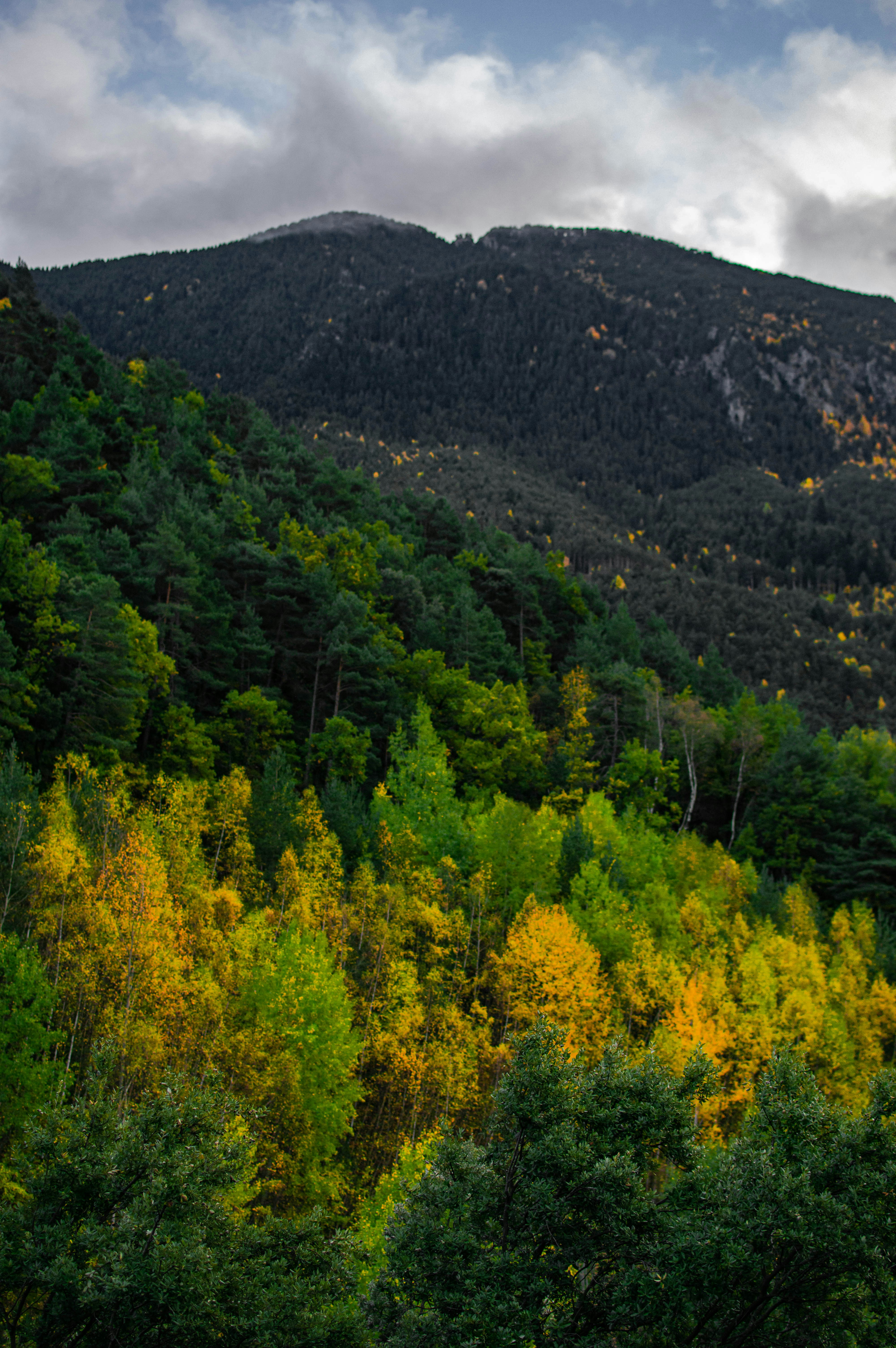 Photo by asr_optical