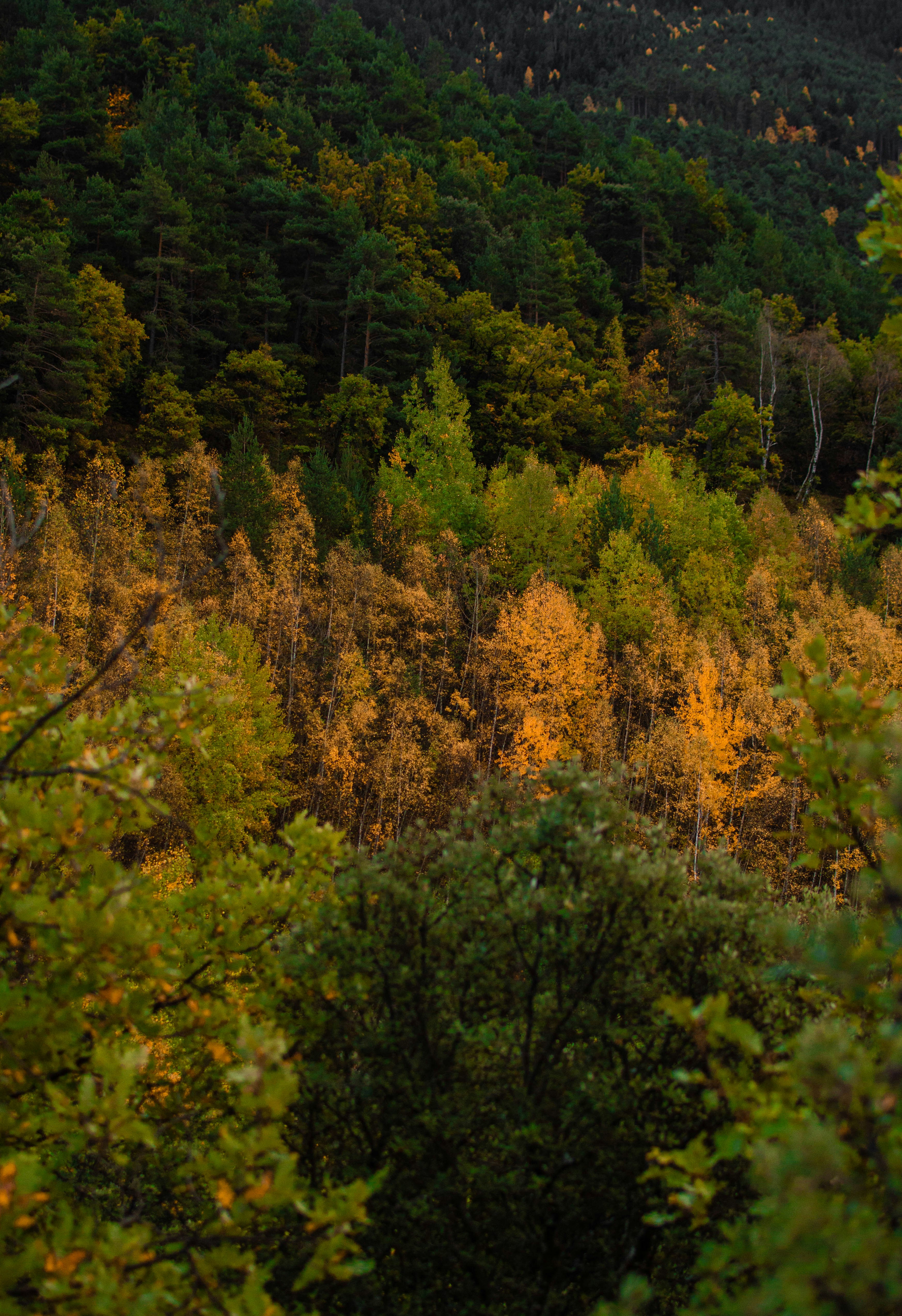 Photo by asr_optical