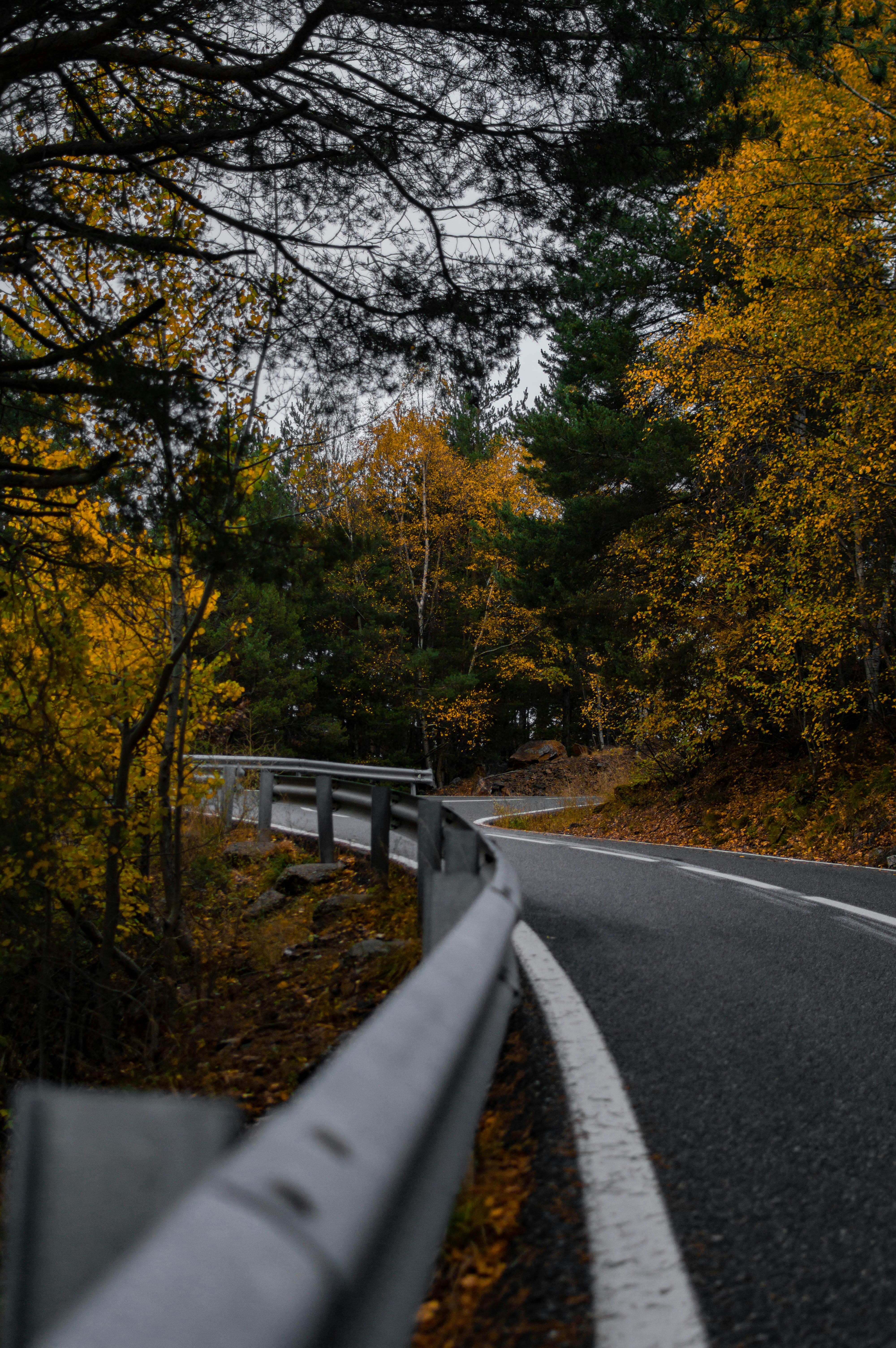 Photo by asr_optical