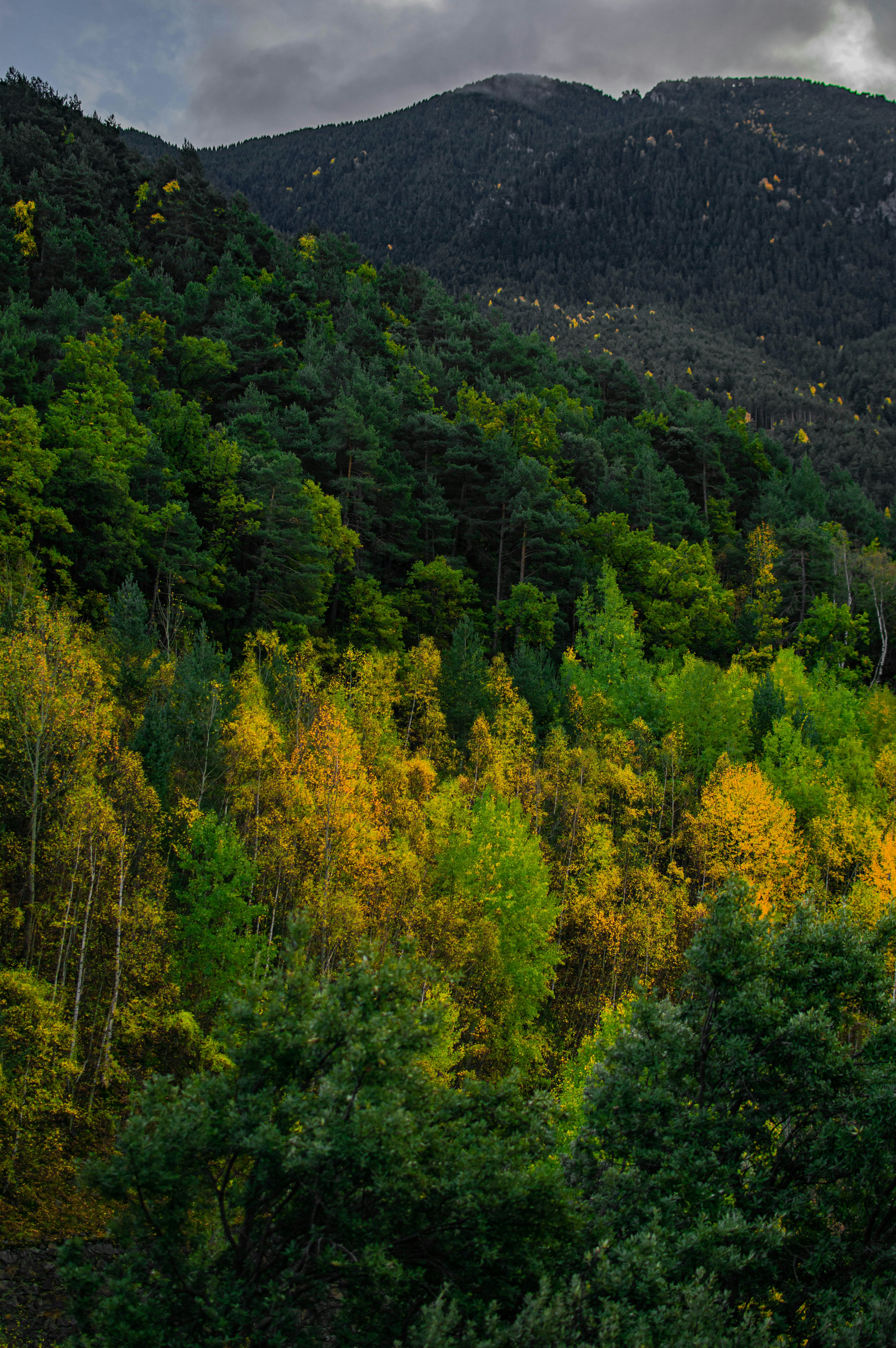 Photo by asr_optical