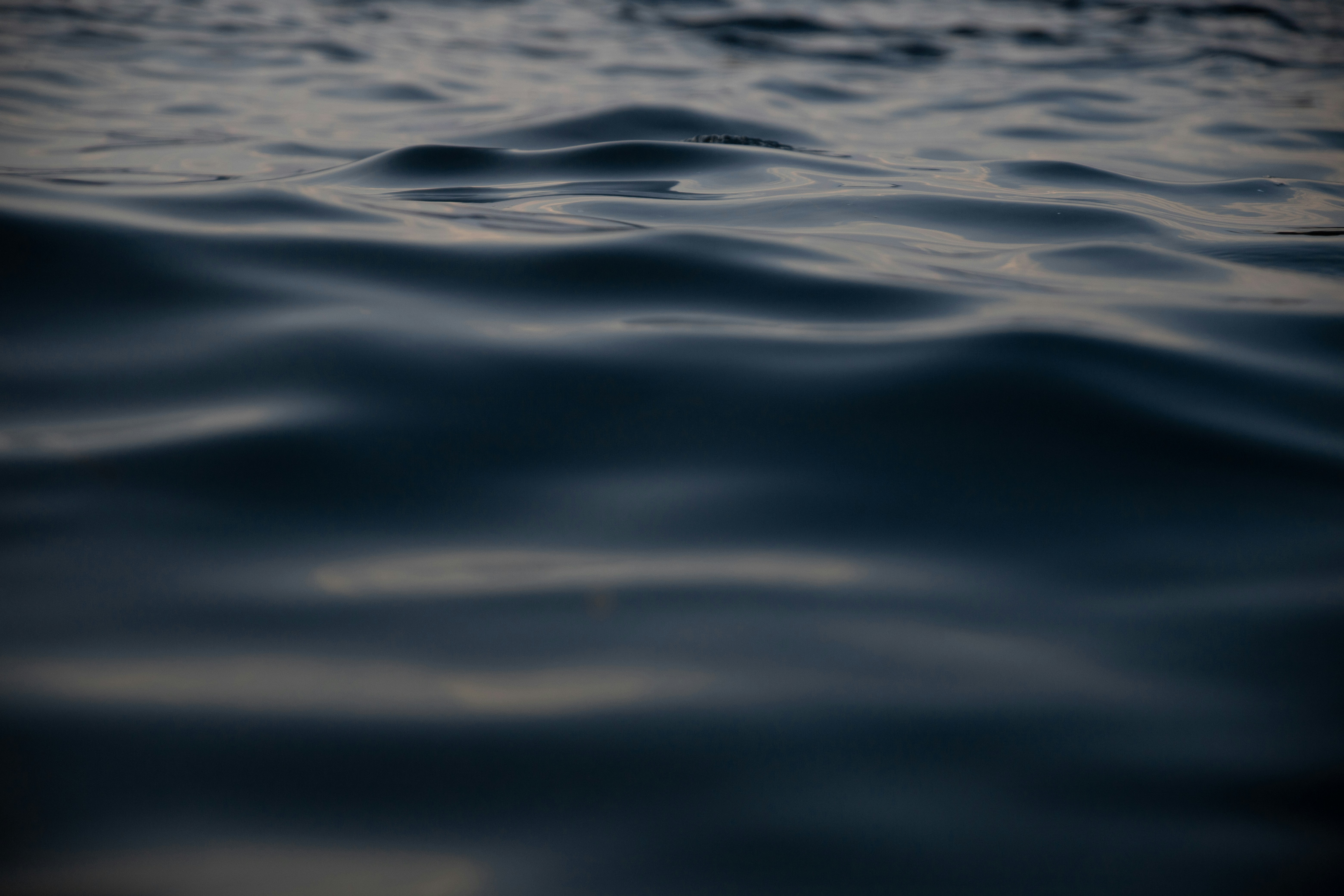 Photo by asr_optical