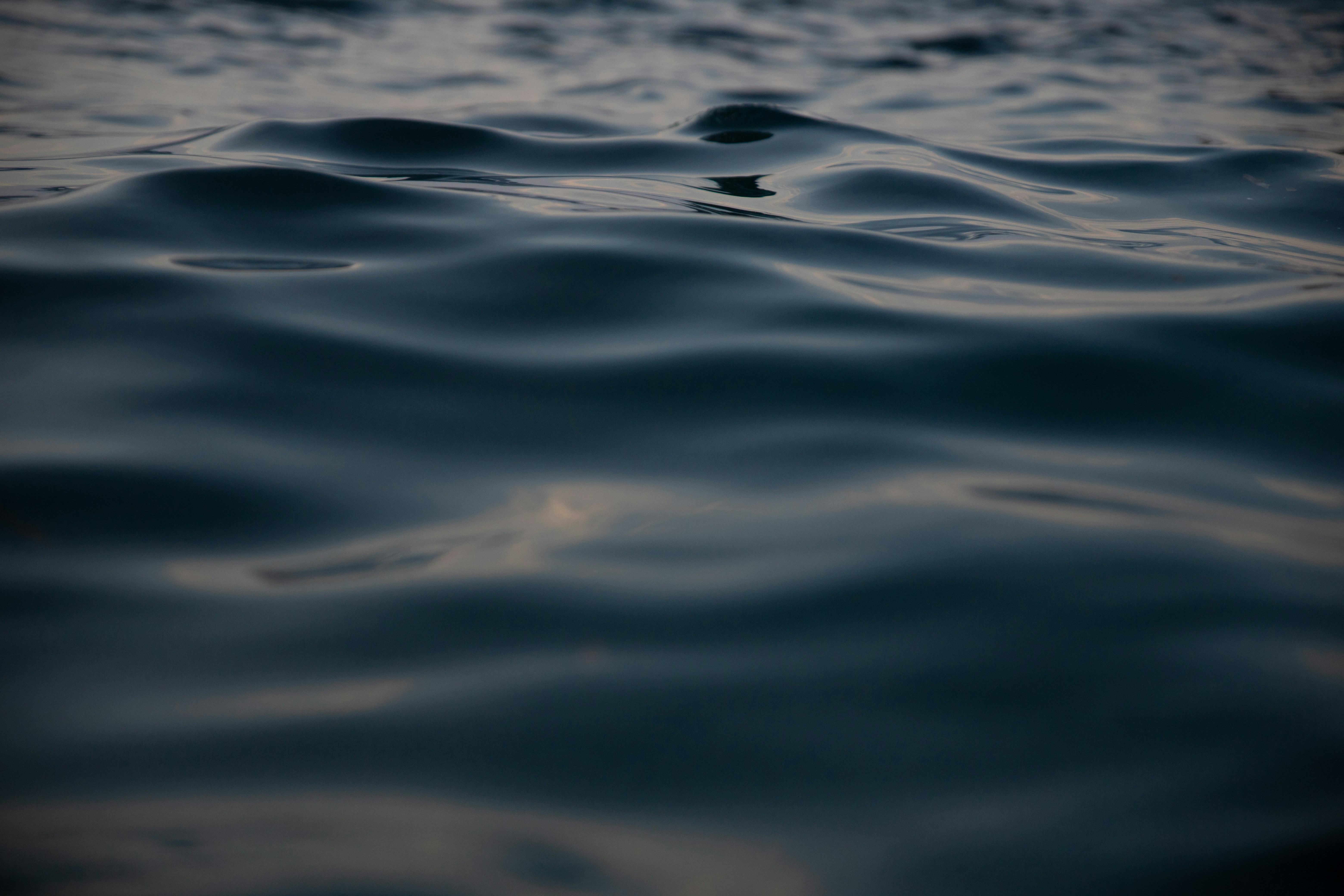 Photo by asr_optical