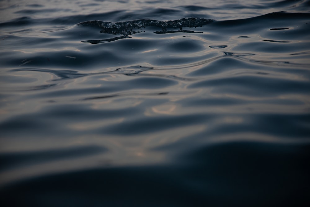 a close-up of water ripples