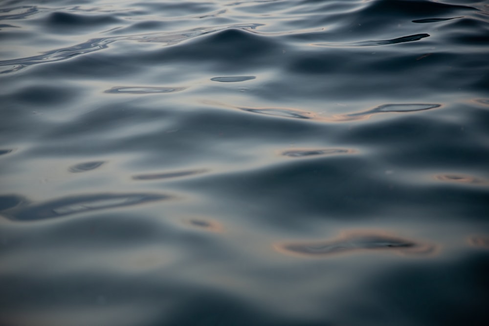 a body of water with ripples