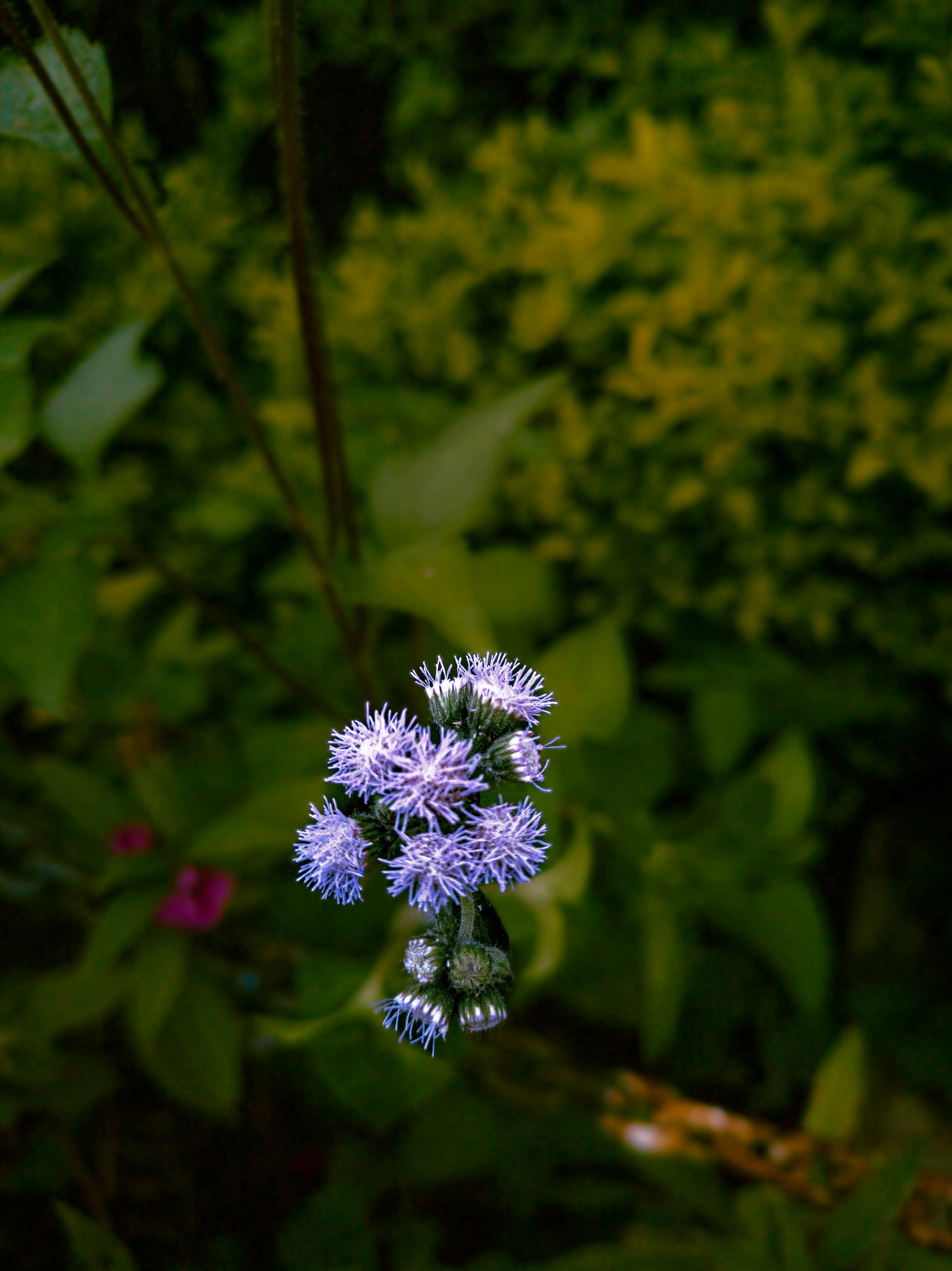 Photo by xplorare