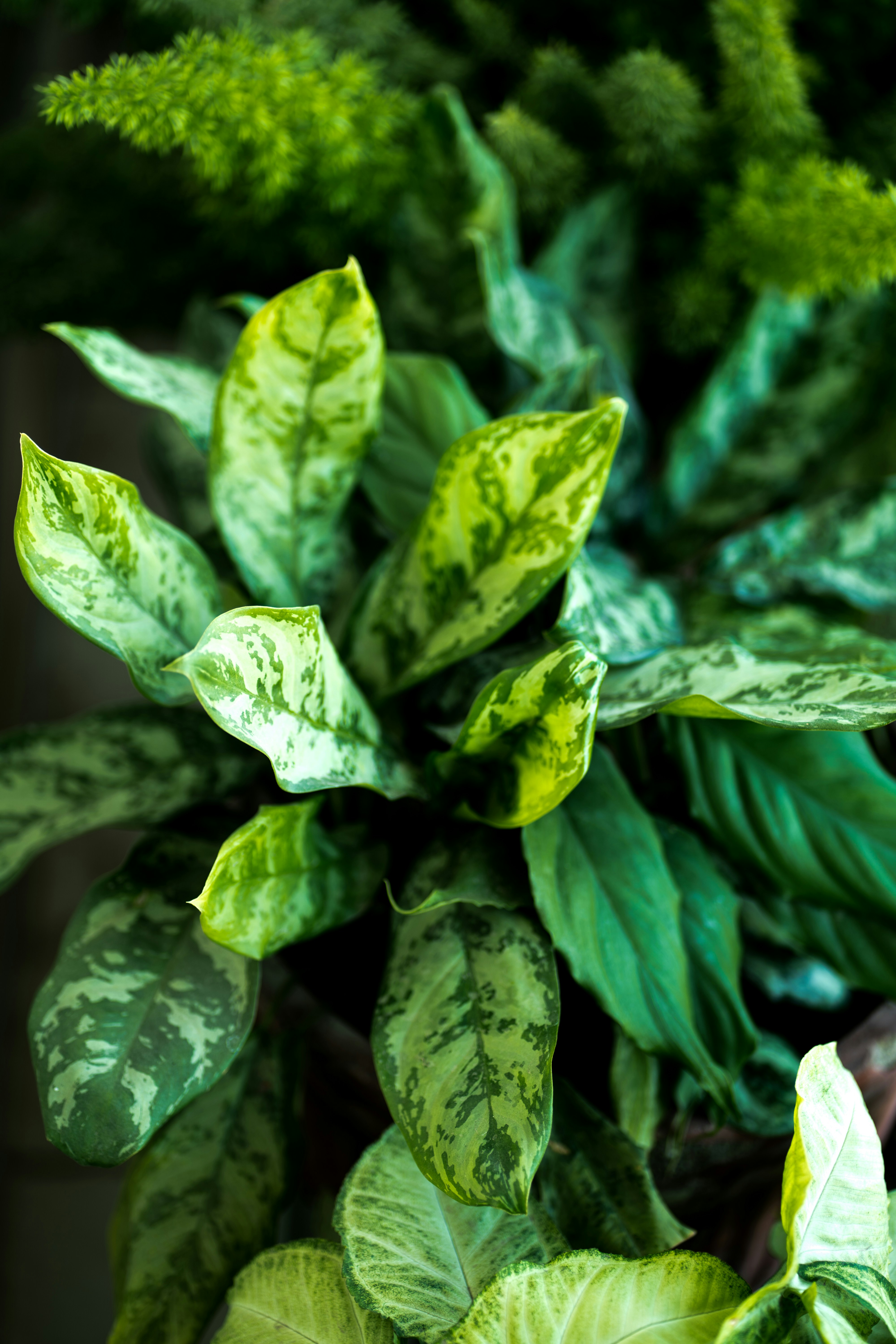 Photo by abhinav1bhardwaj