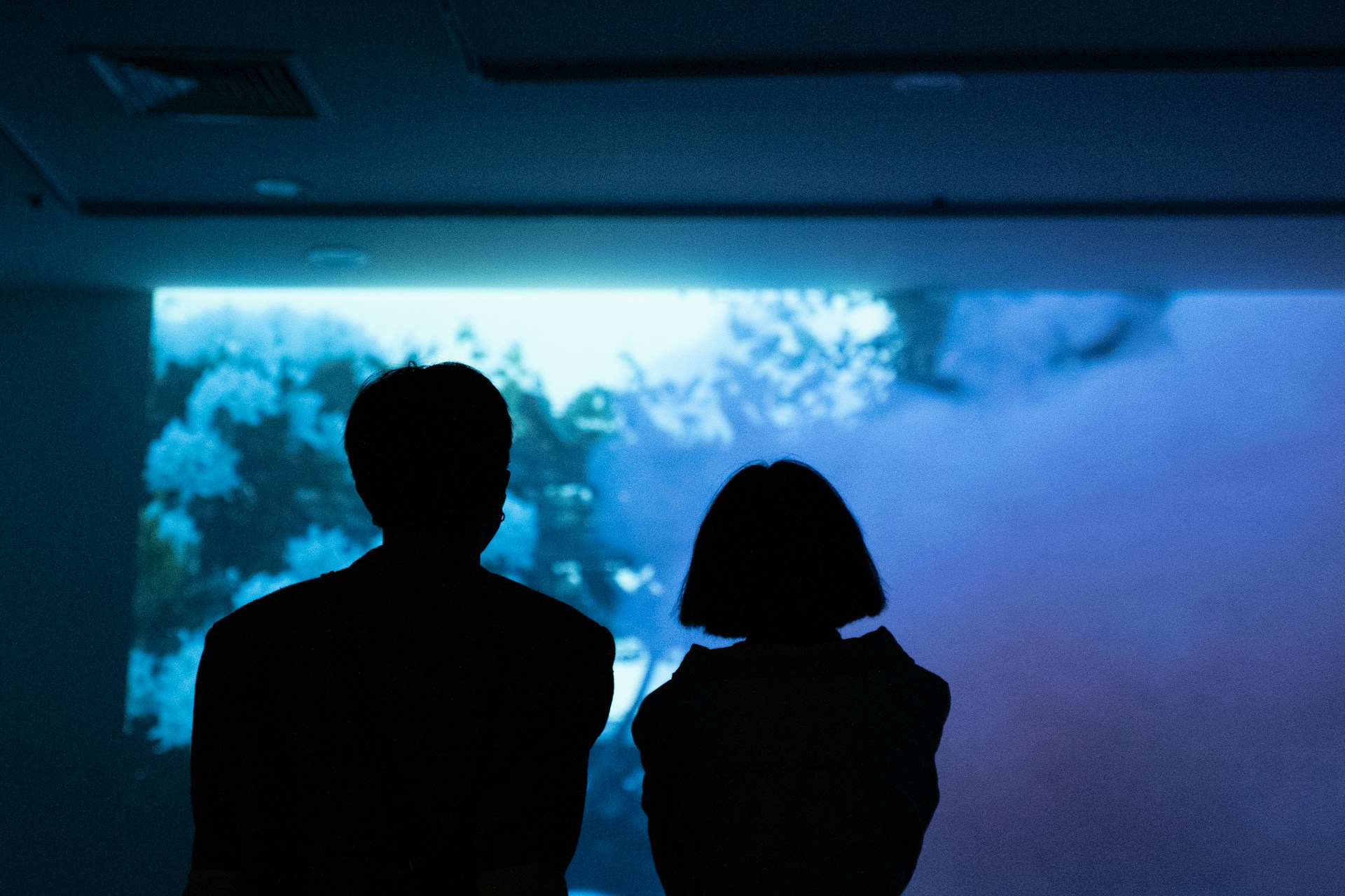 a couple of people looking at a large screen