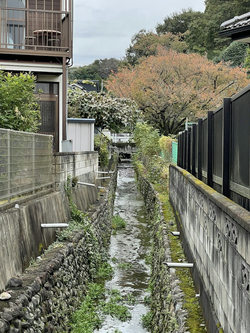 a small river between two buildings