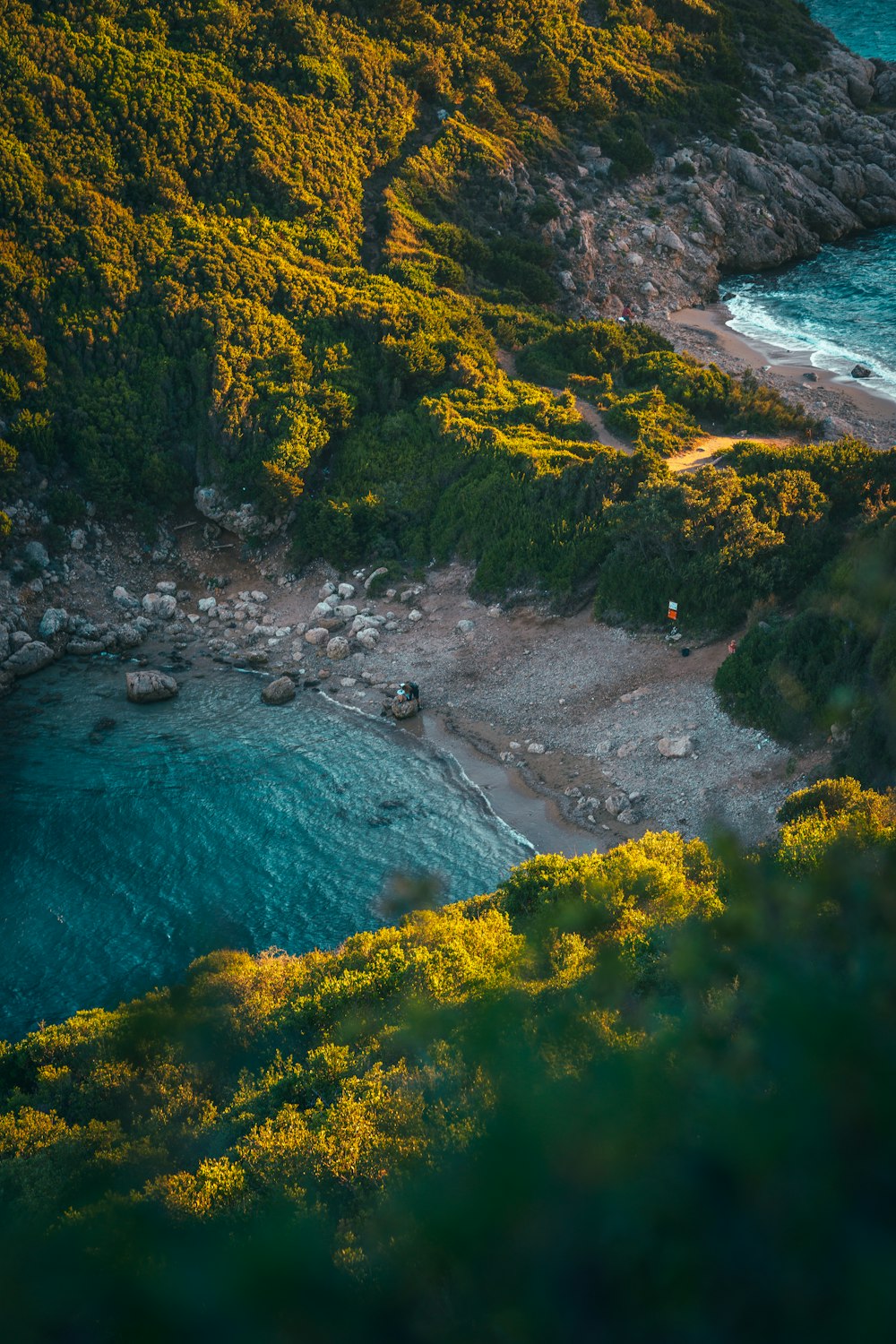 a body of water surrounded by trees