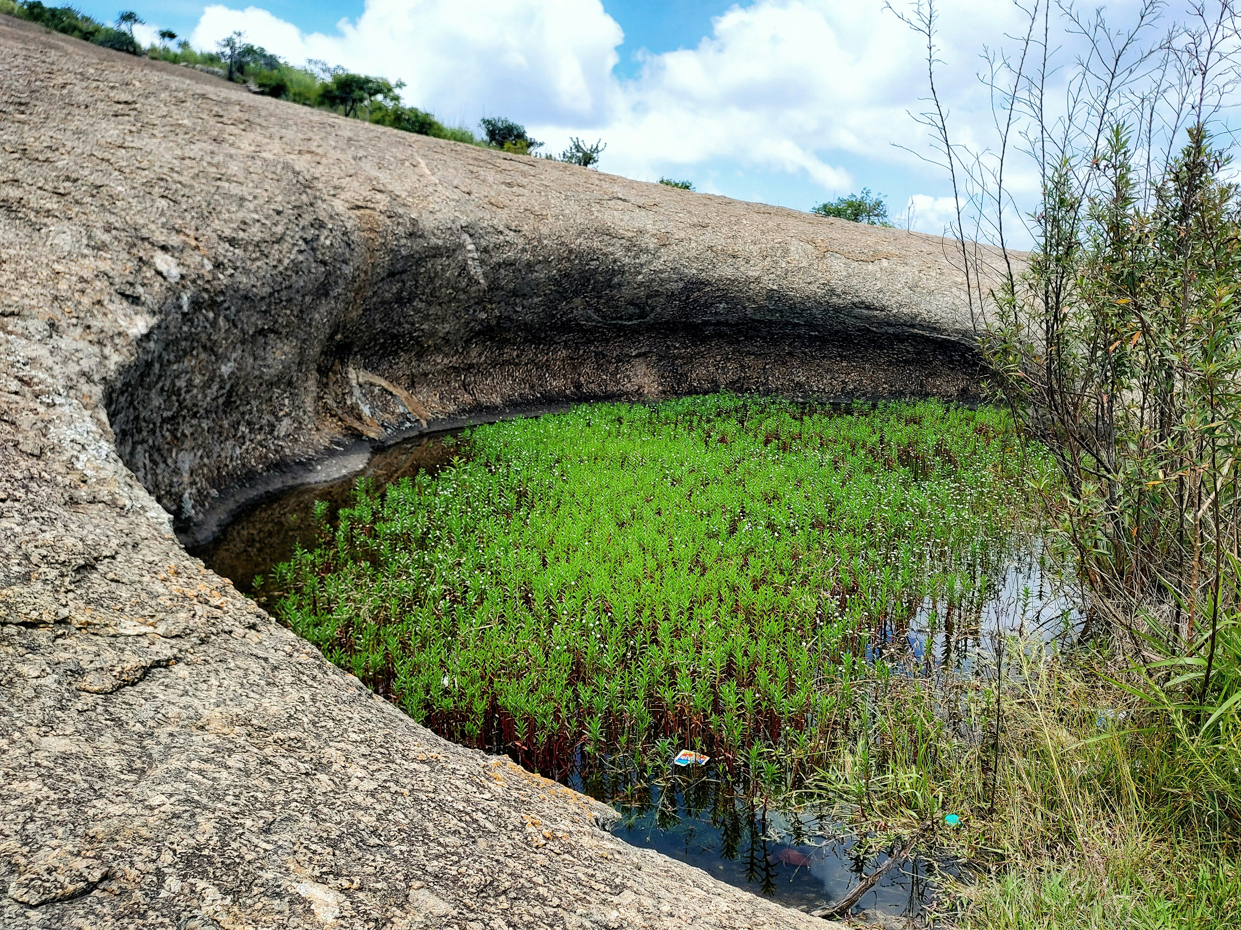 Sinkholes and the Environment (image credits: unsplash)
