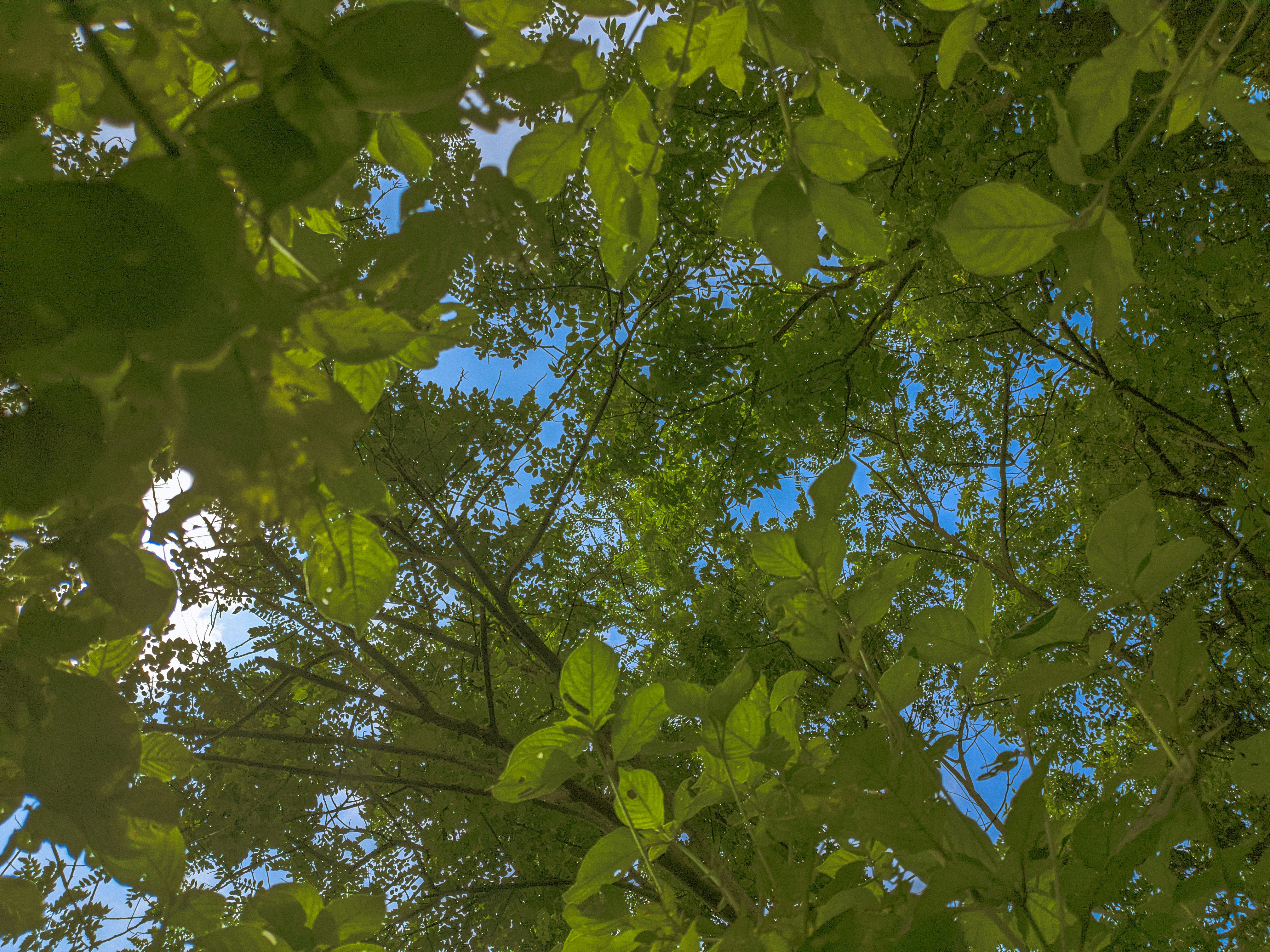 Photo by jayeshsingh