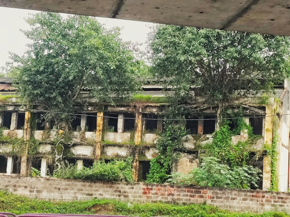 a house with trees growing on it