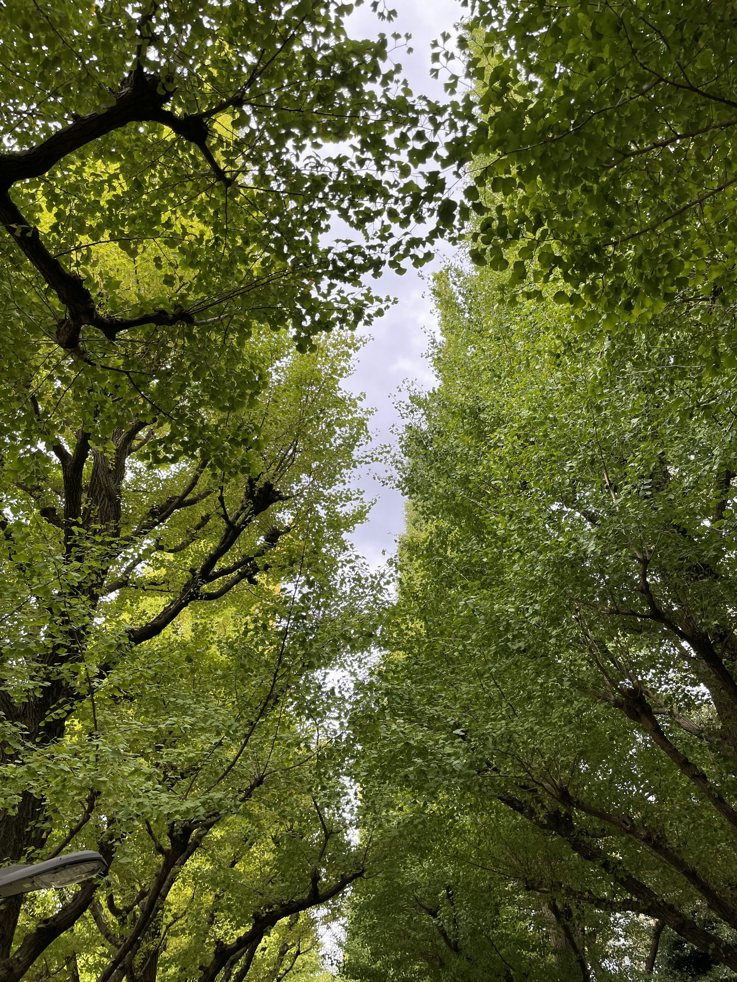 Photo by blueskywalker