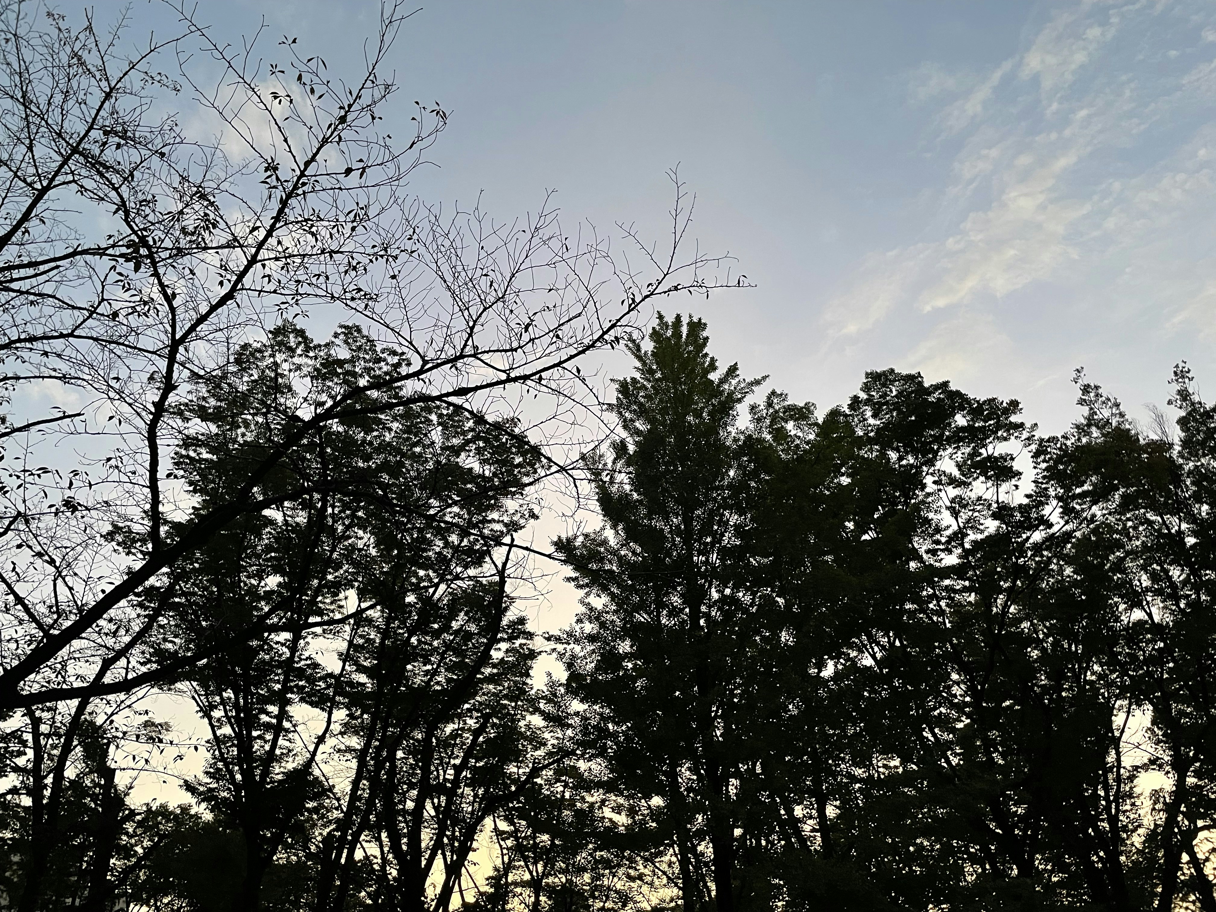 運動が睡眠に与える具体的な影響