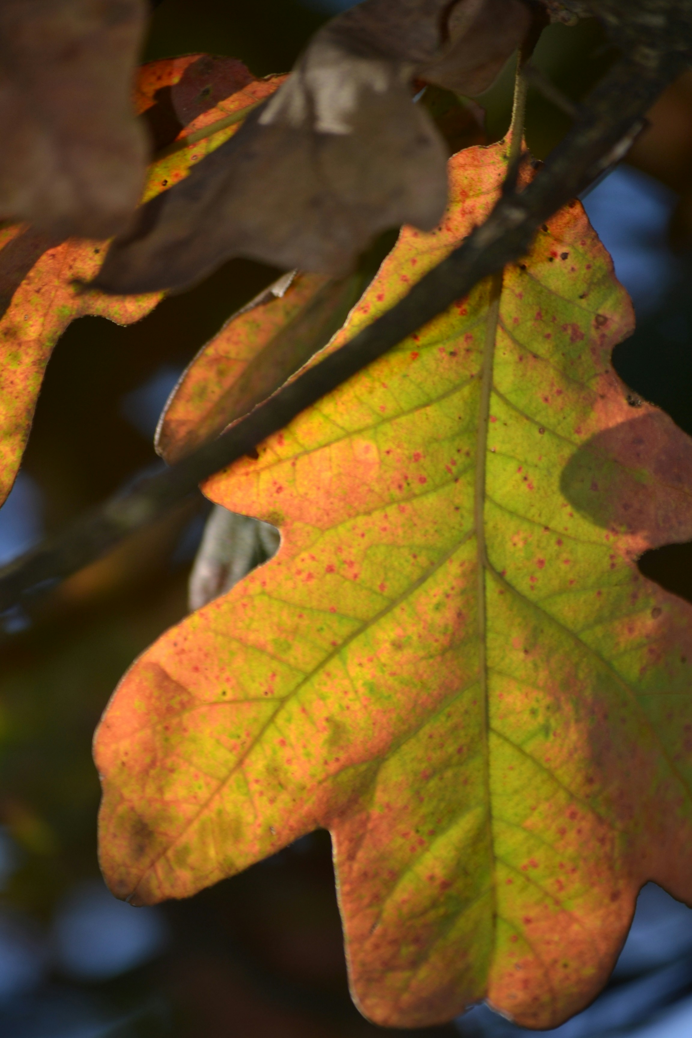 Photo by jarededward129