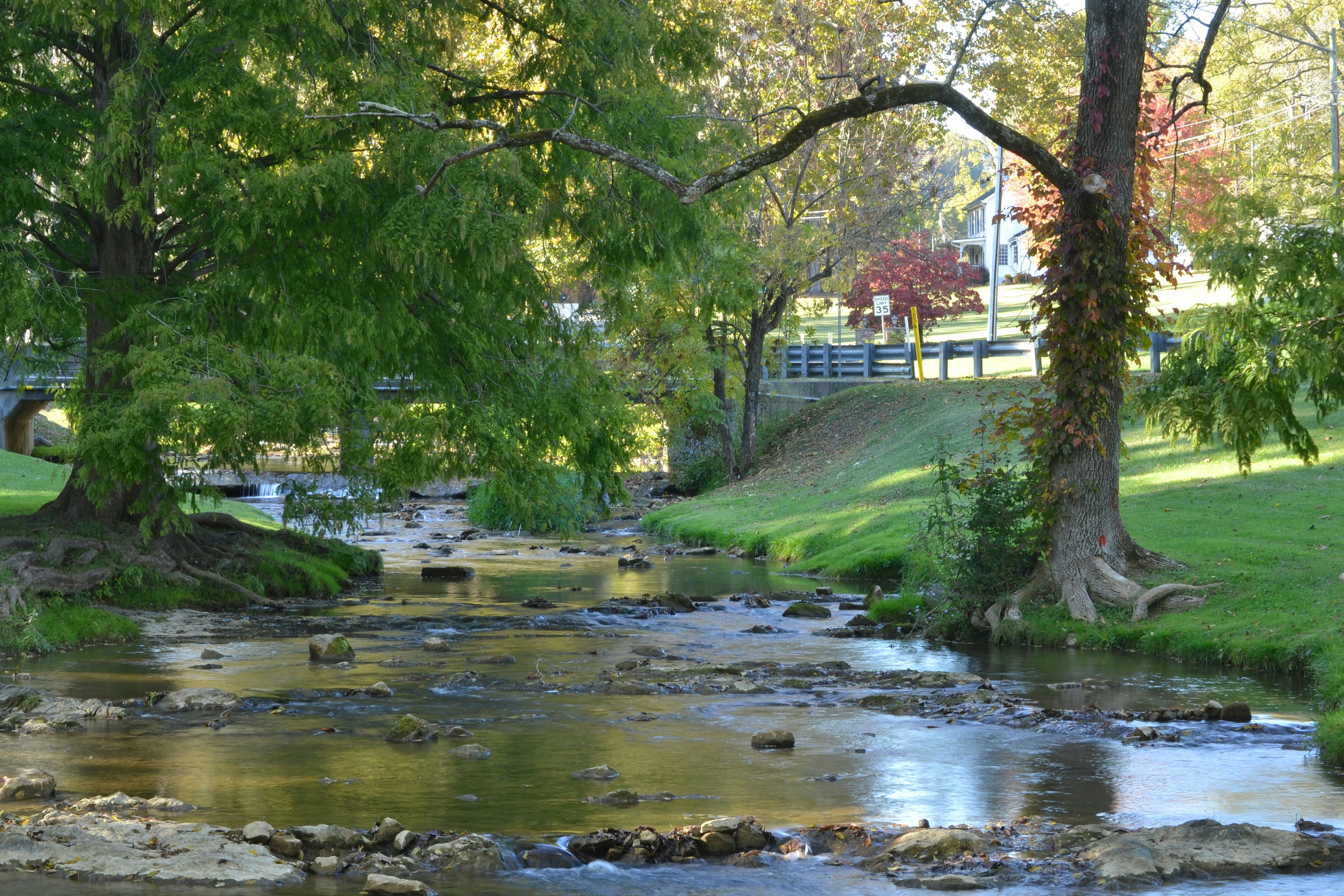 Laurelwood Park