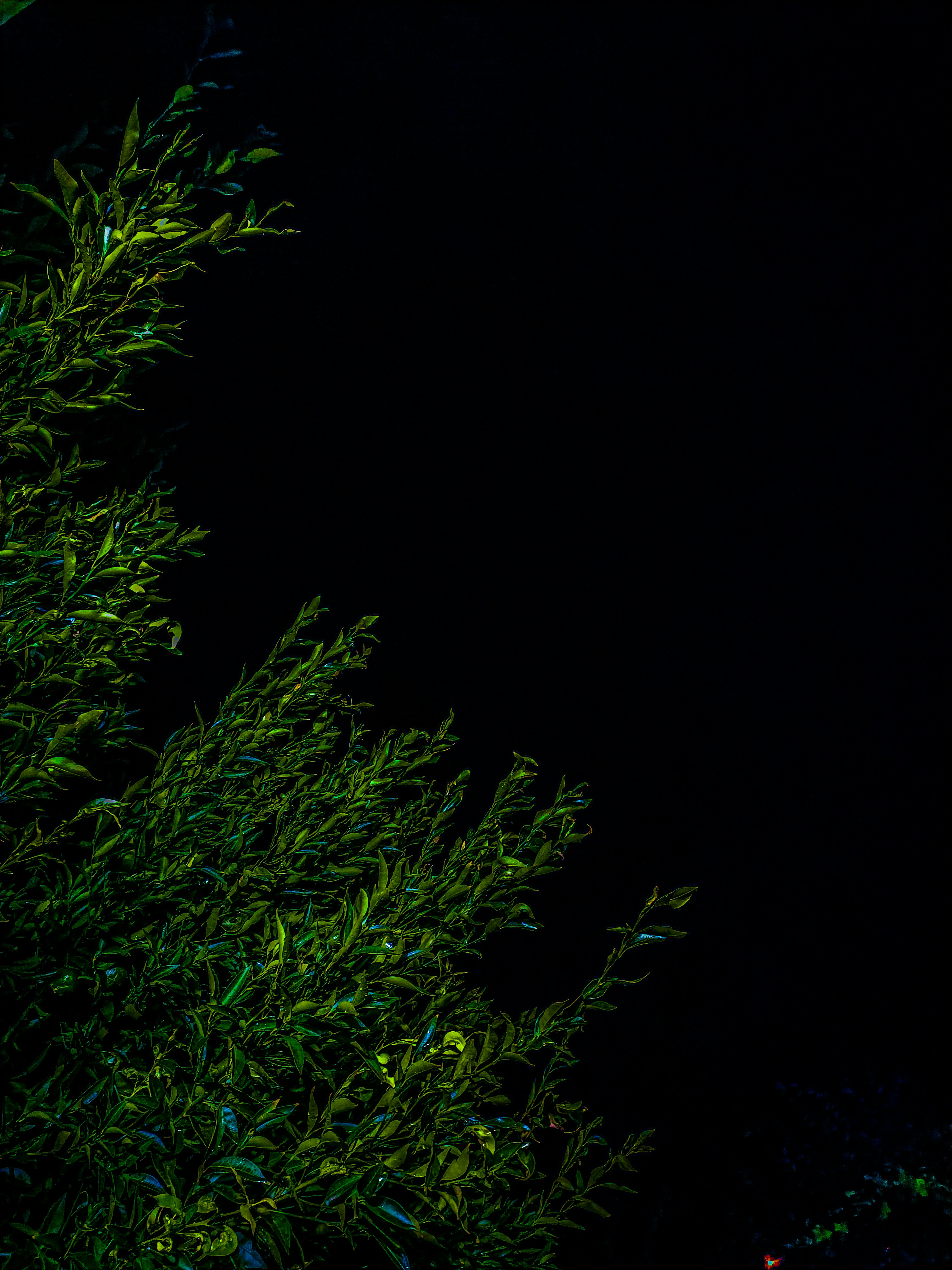 Photo by marcelo21433