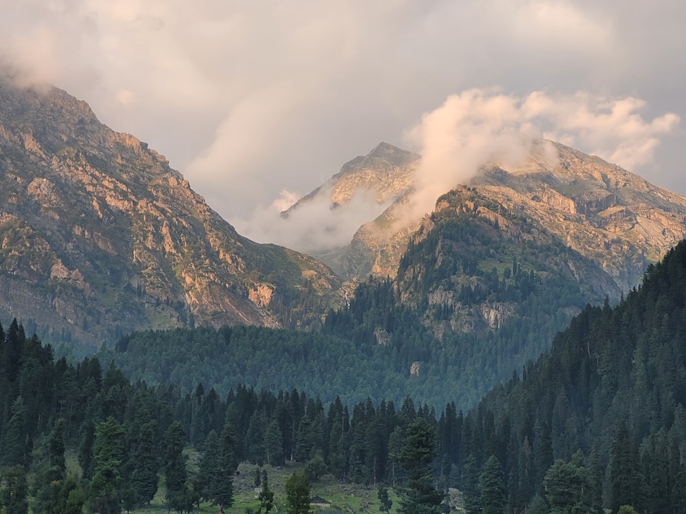 a mountain range with trees