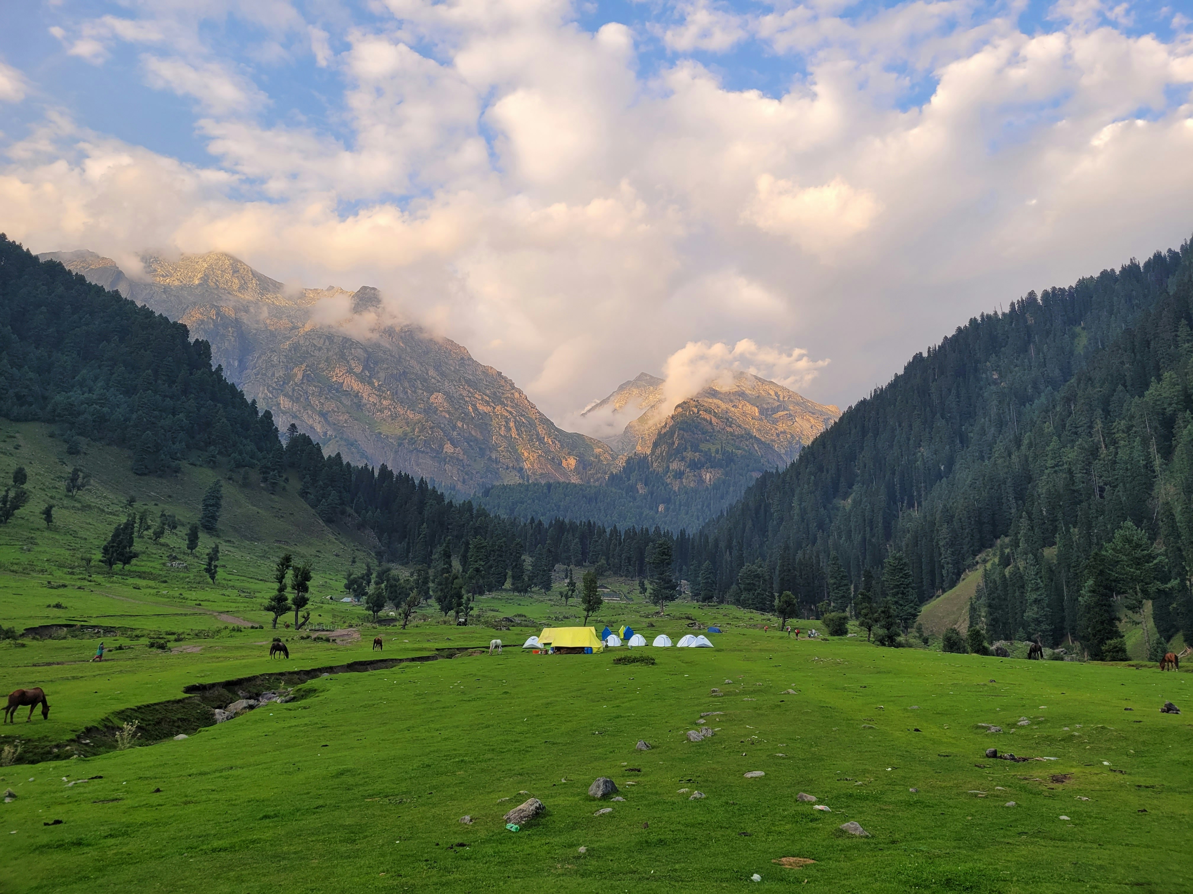 a grassy field with mountains in the background