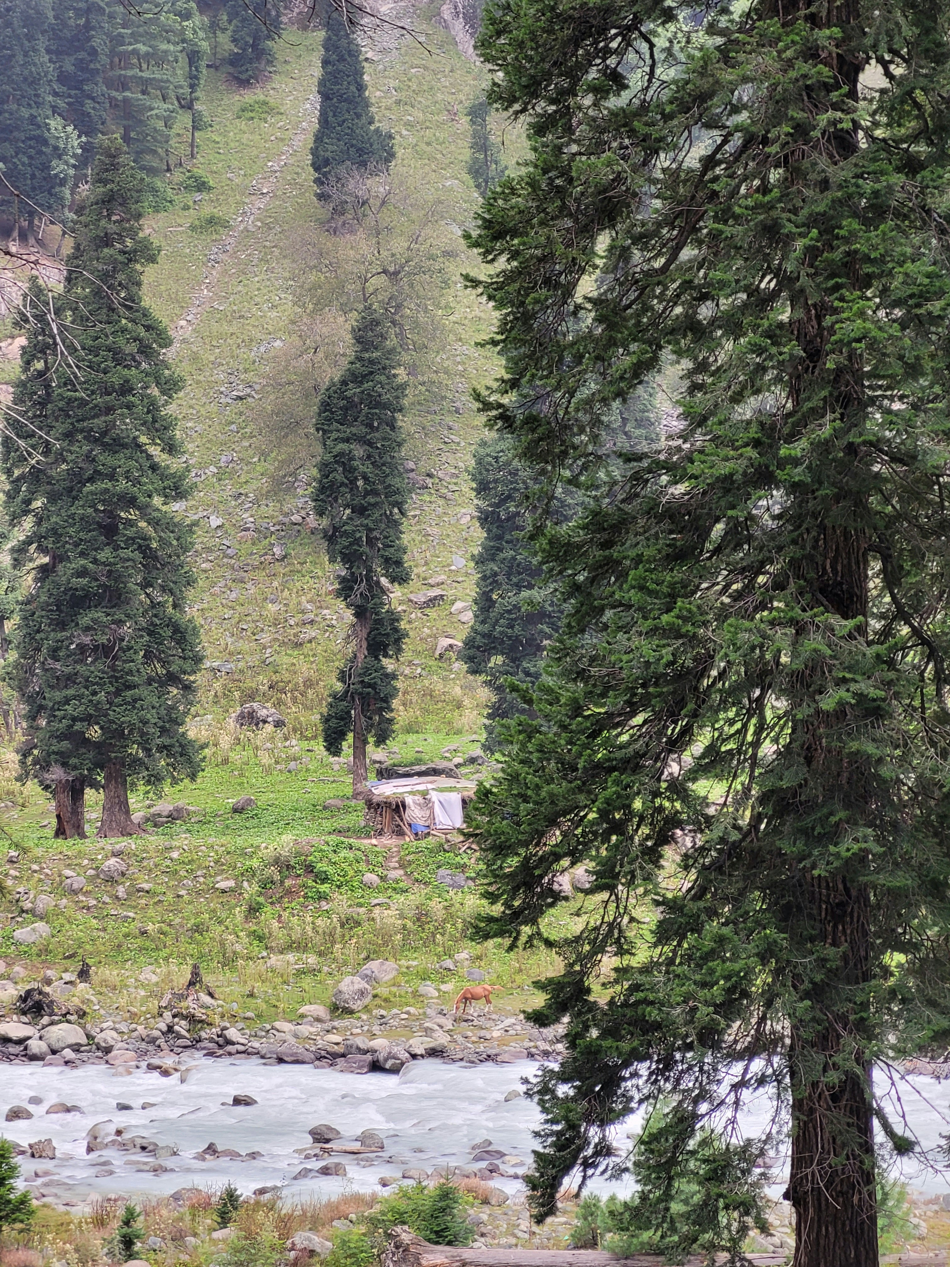 Photo by iamankurkhandelwal