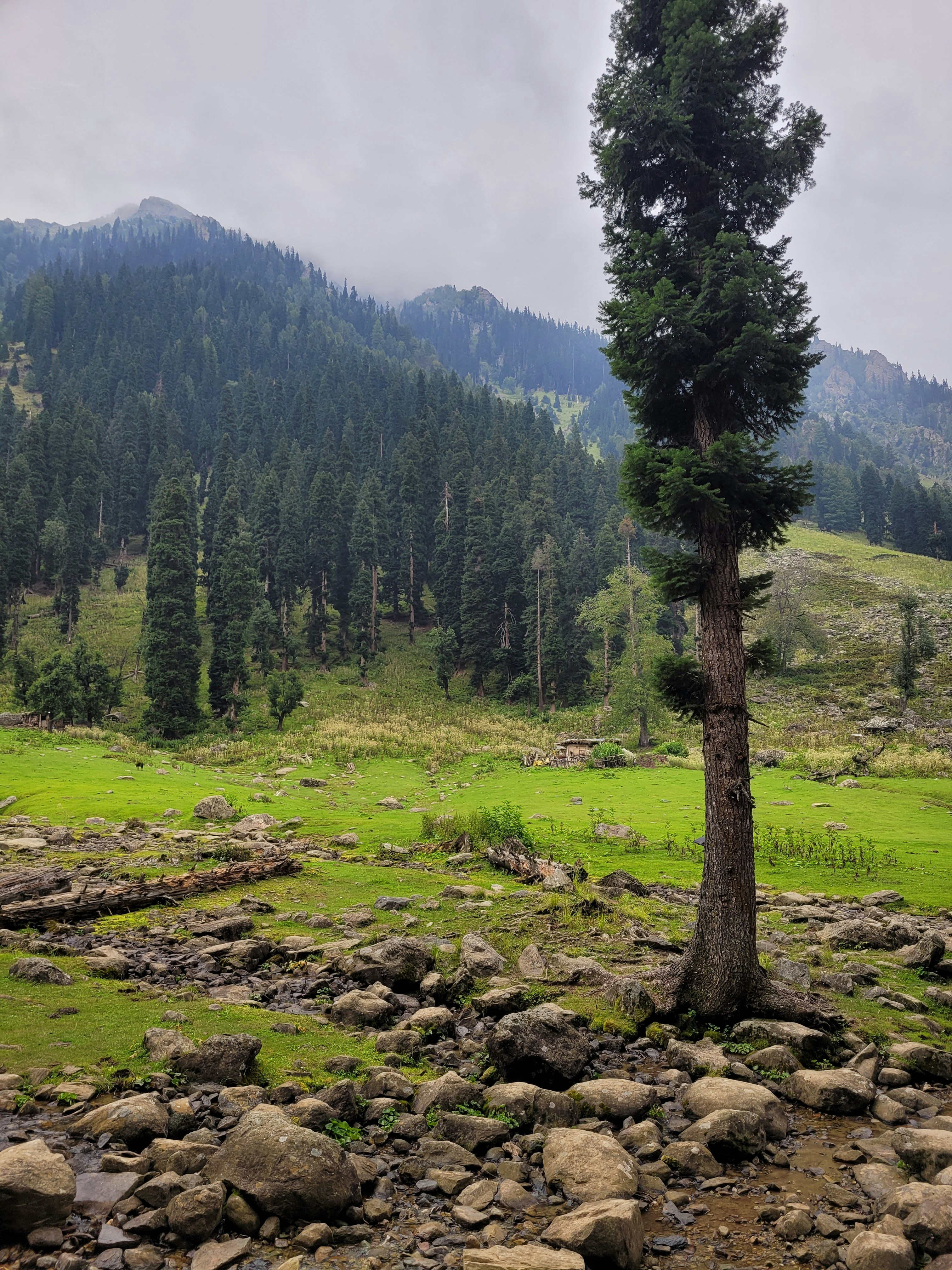 Photo by iamankurkhandelwal