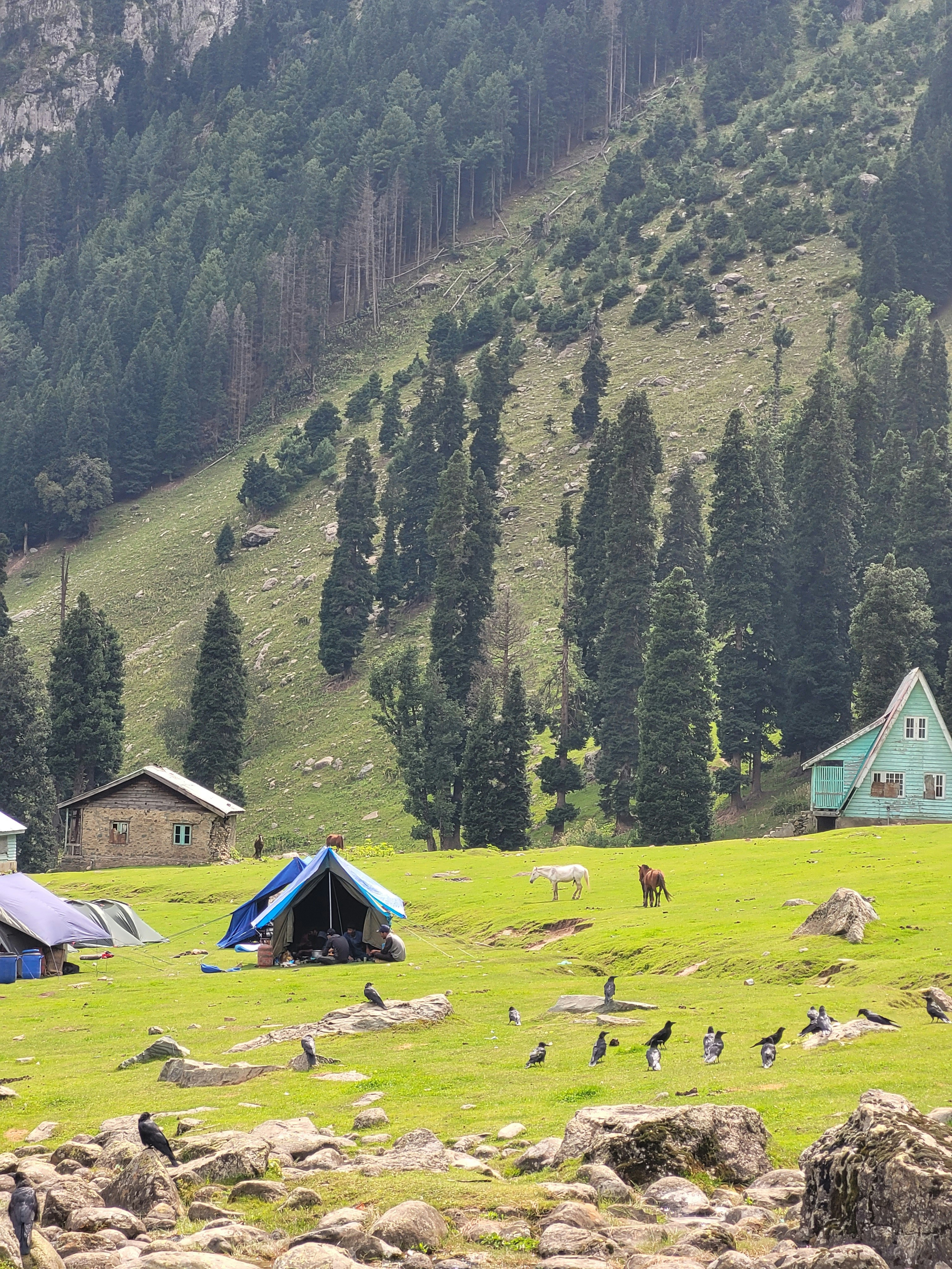 Photo by iamankurkhandelwal
