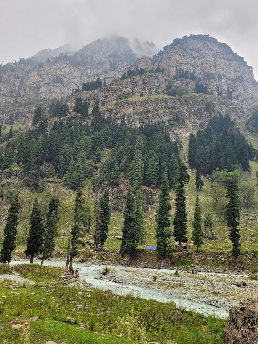 a river running through a valley with trees and mountains in the background