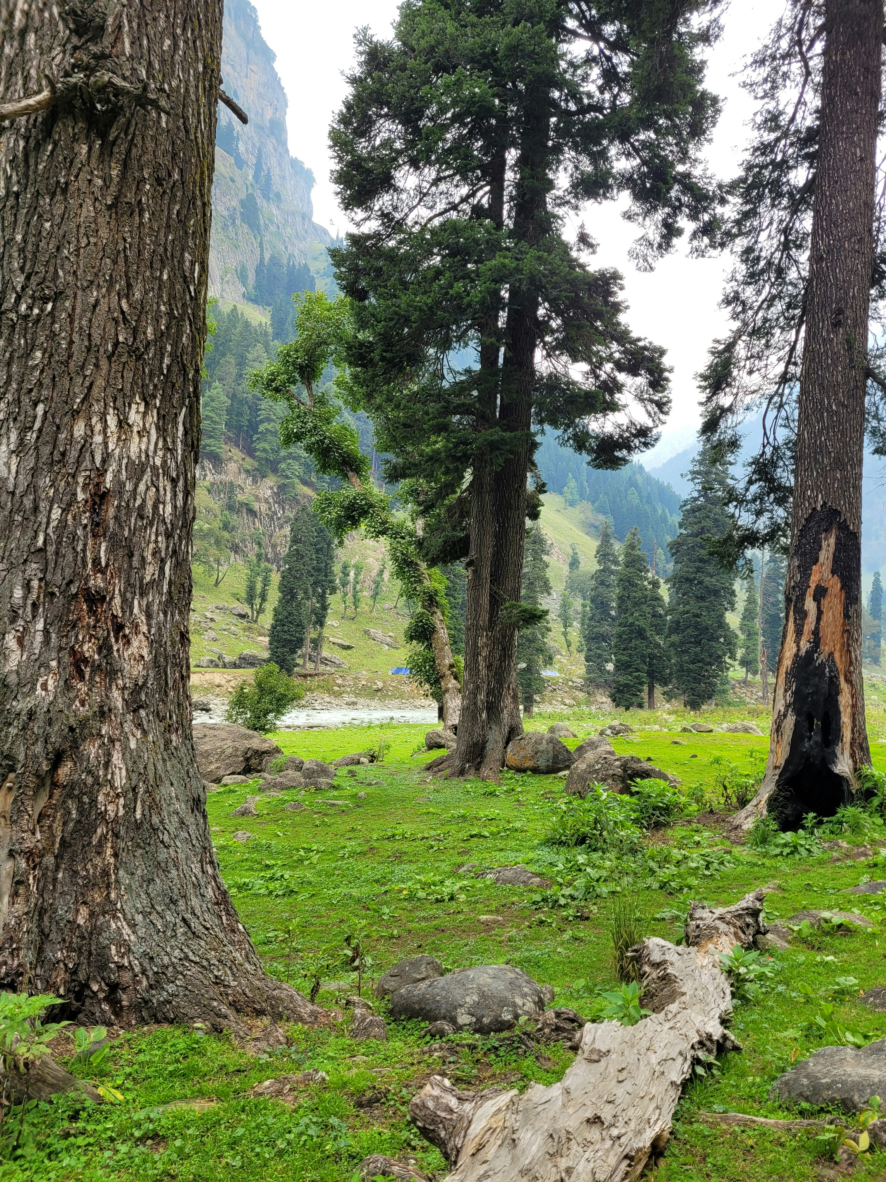 Photo by iamankurkhandelwal