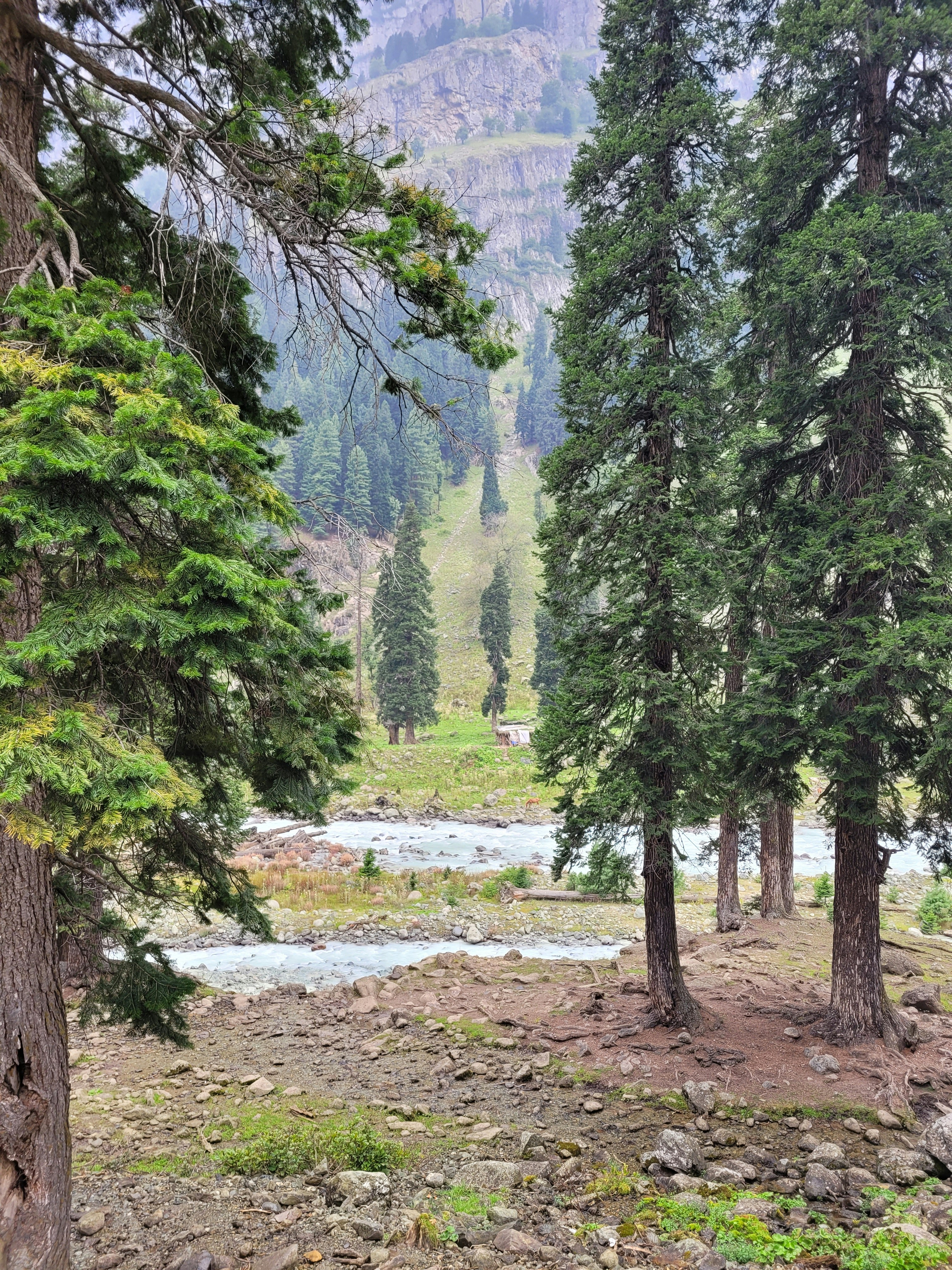 Photo by iamankurkhandelwal