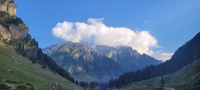 Top Fine Dining Restaurants in Gulmarg for a Truly Special Meal